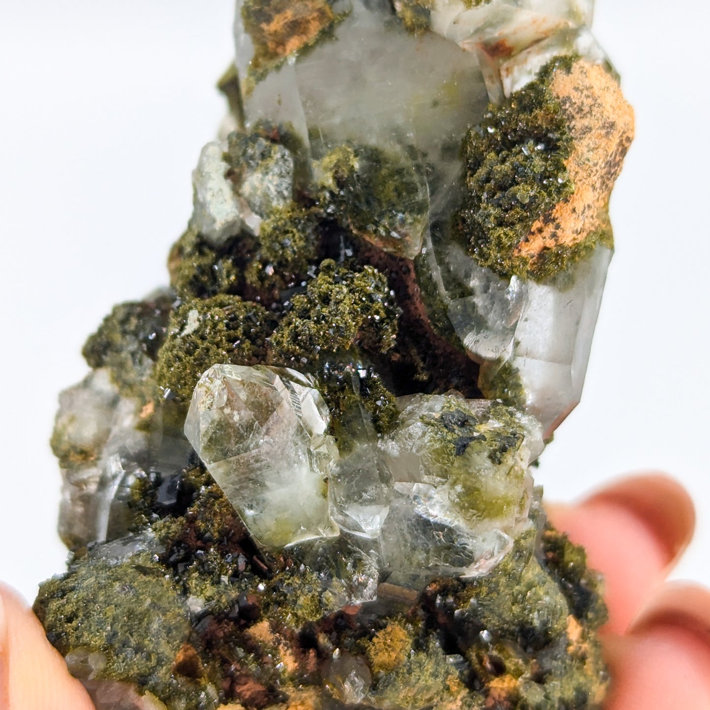 Forest Quartz with Epidote Q