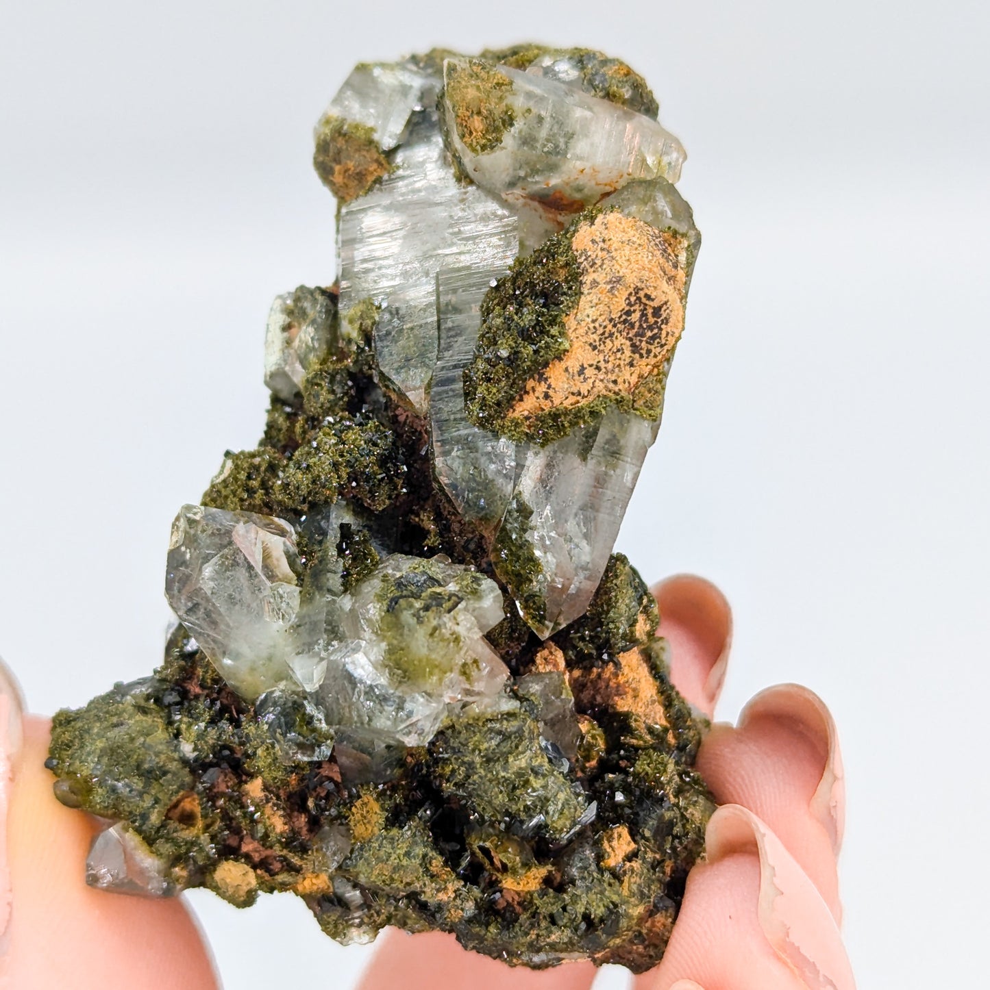 Forest Quartz with Epidote Q