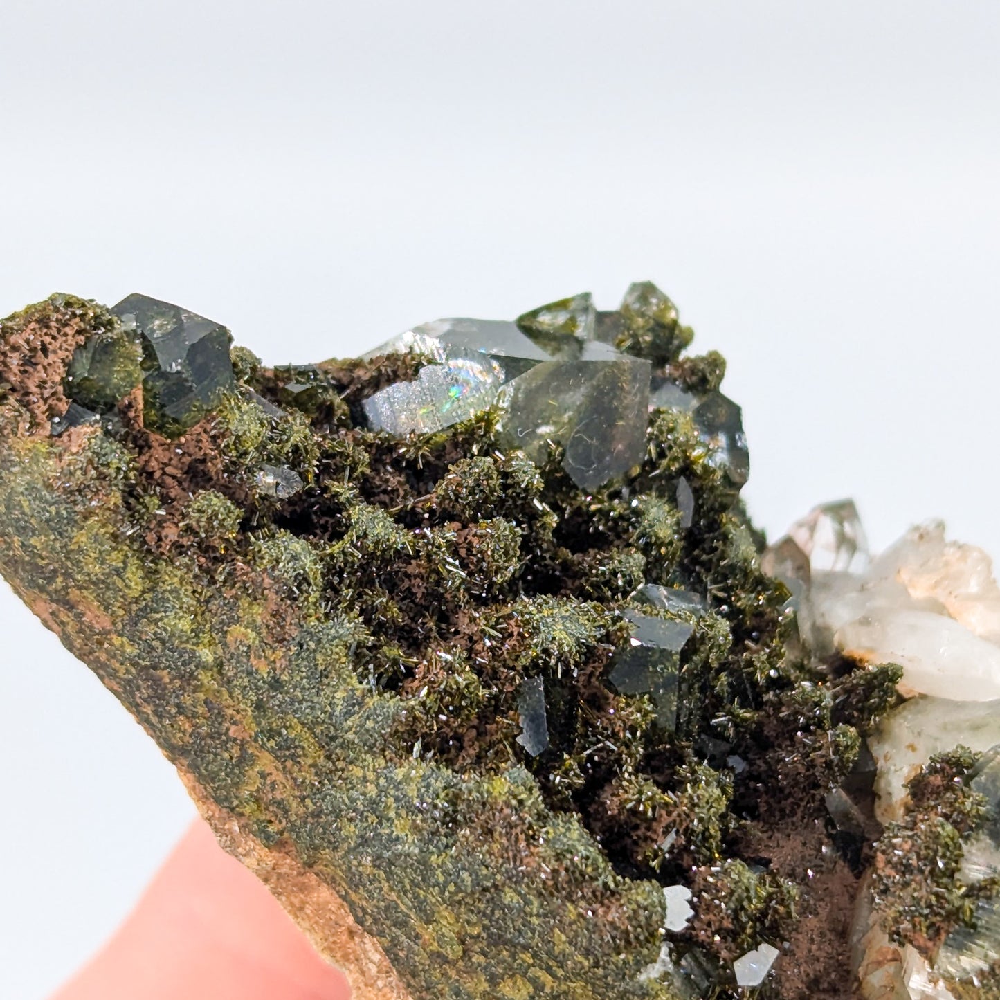 Forest Quartz with Epidote R