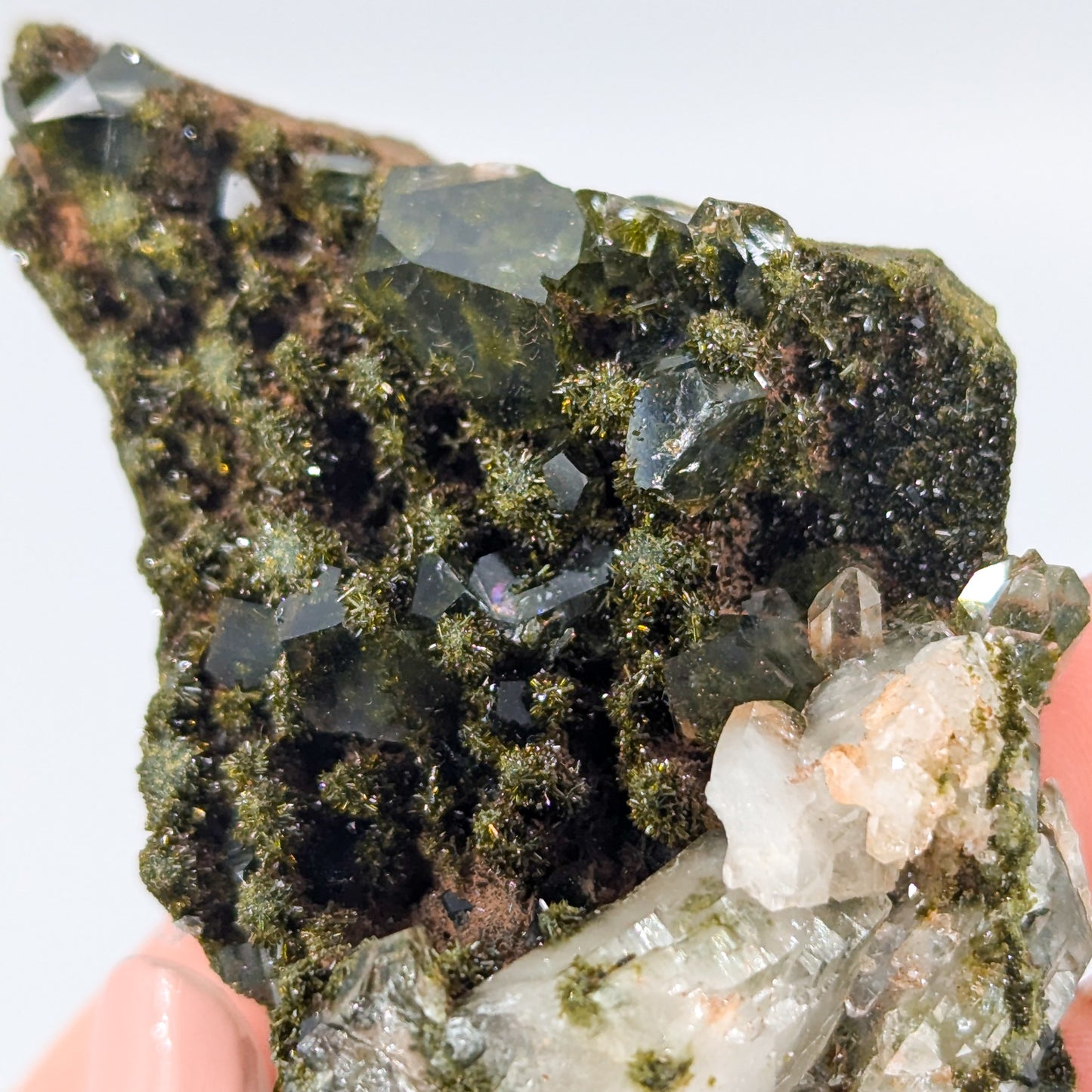 Forest Quartz with Epidote R