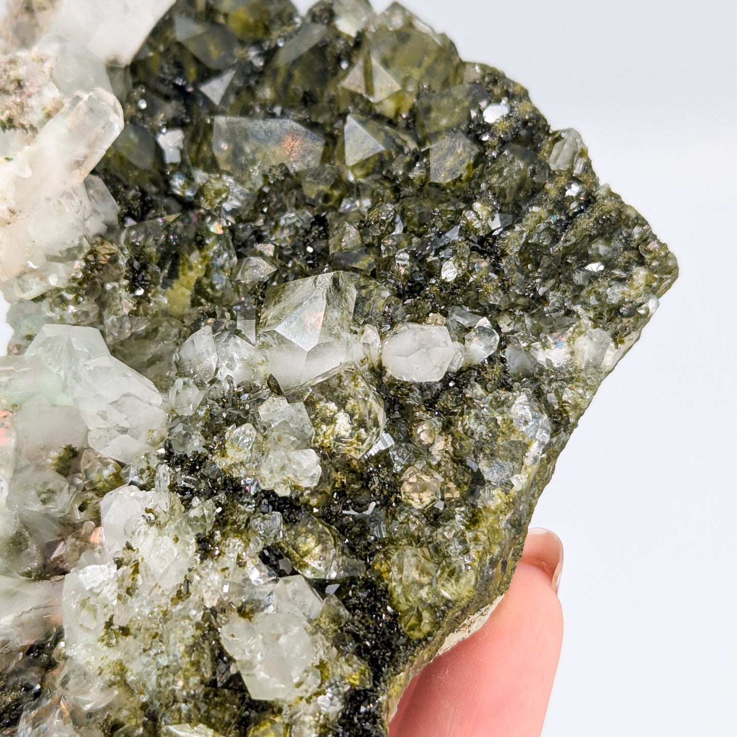 Forest Quartz with Epidote E