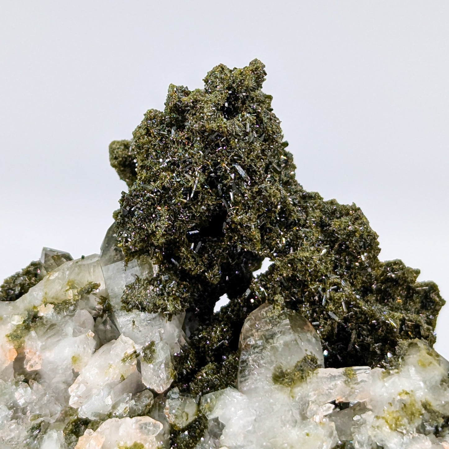 Forest Quartz with Epidote F