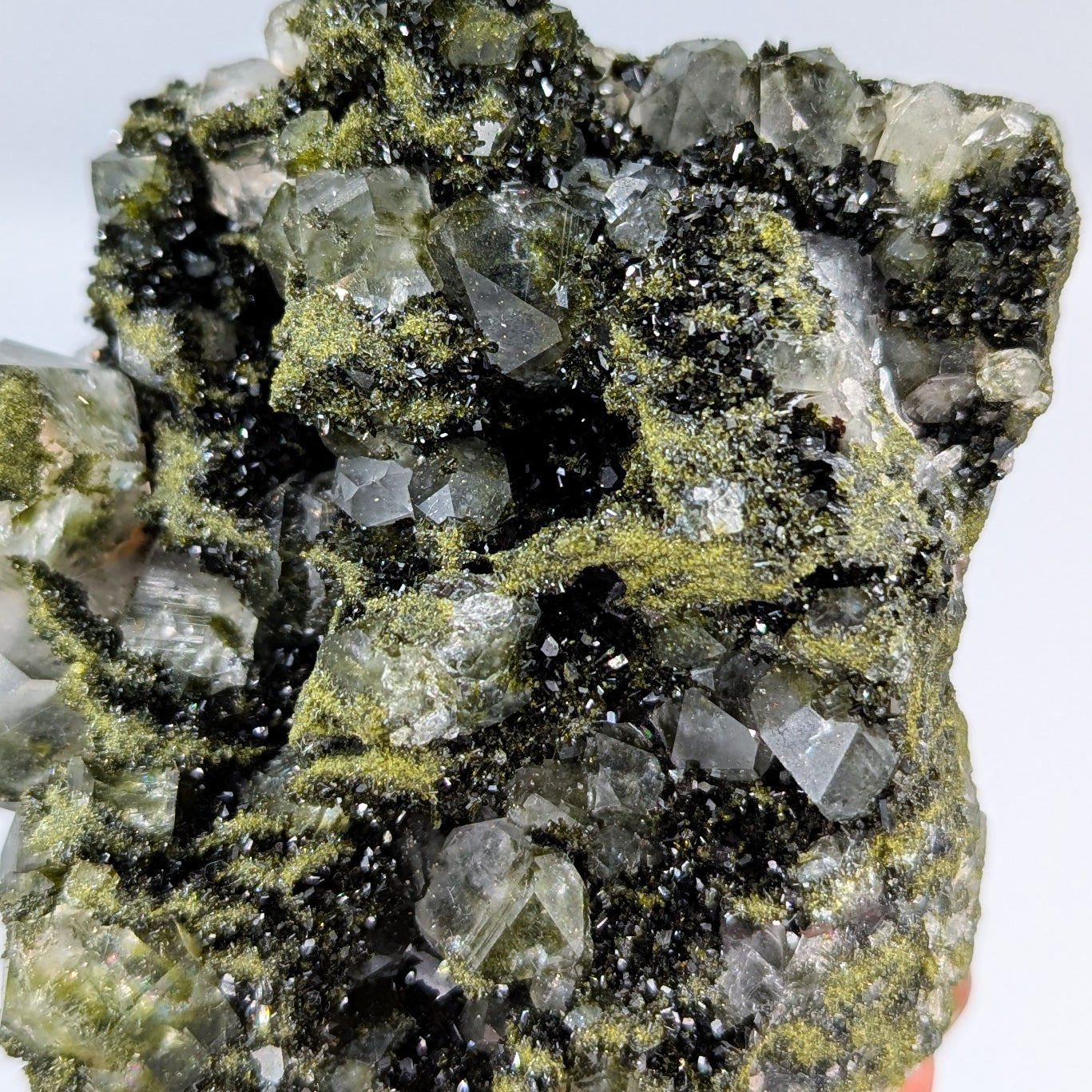 Forest Quartz with Epidote H