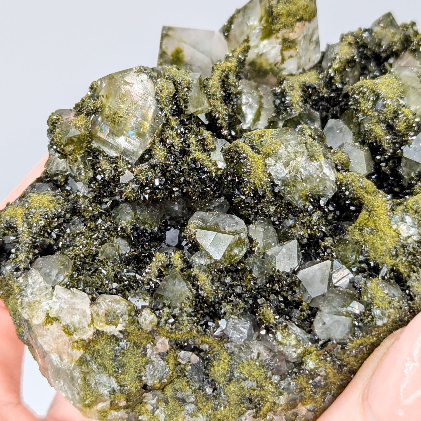 Forest Quartz with Epidote H