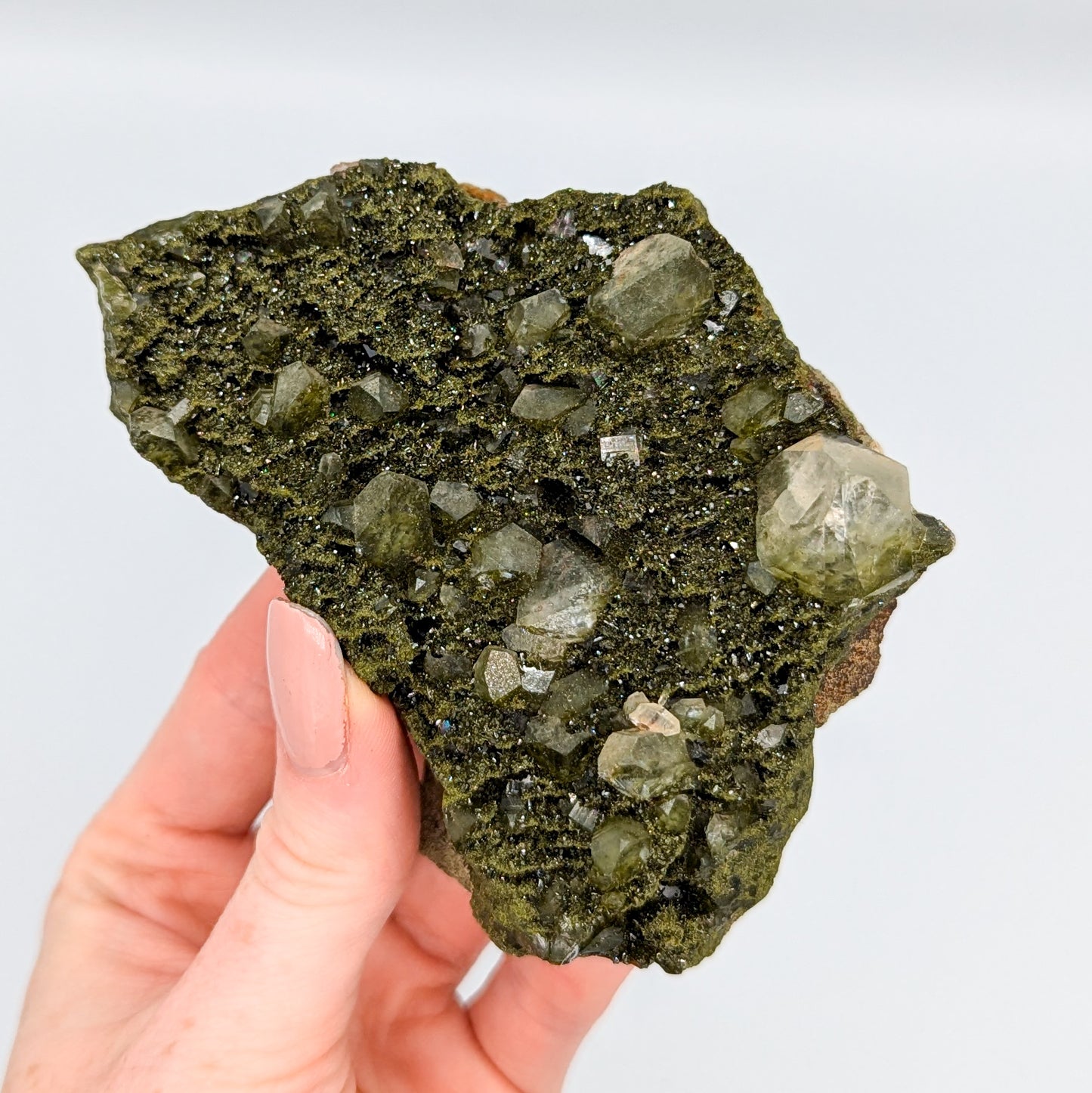 Forest Quartz with Epidote I
