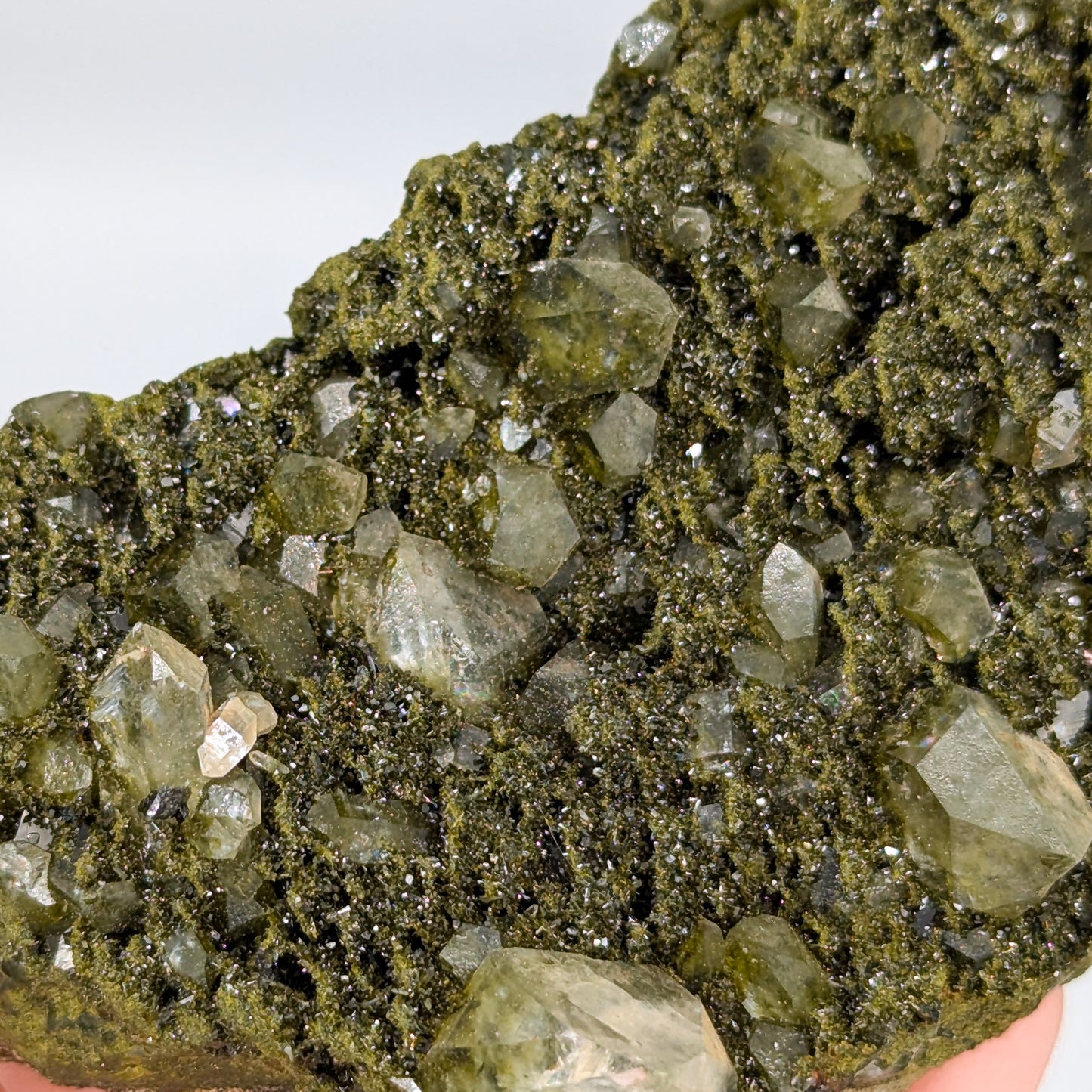 Forest Quartz with Epidote I