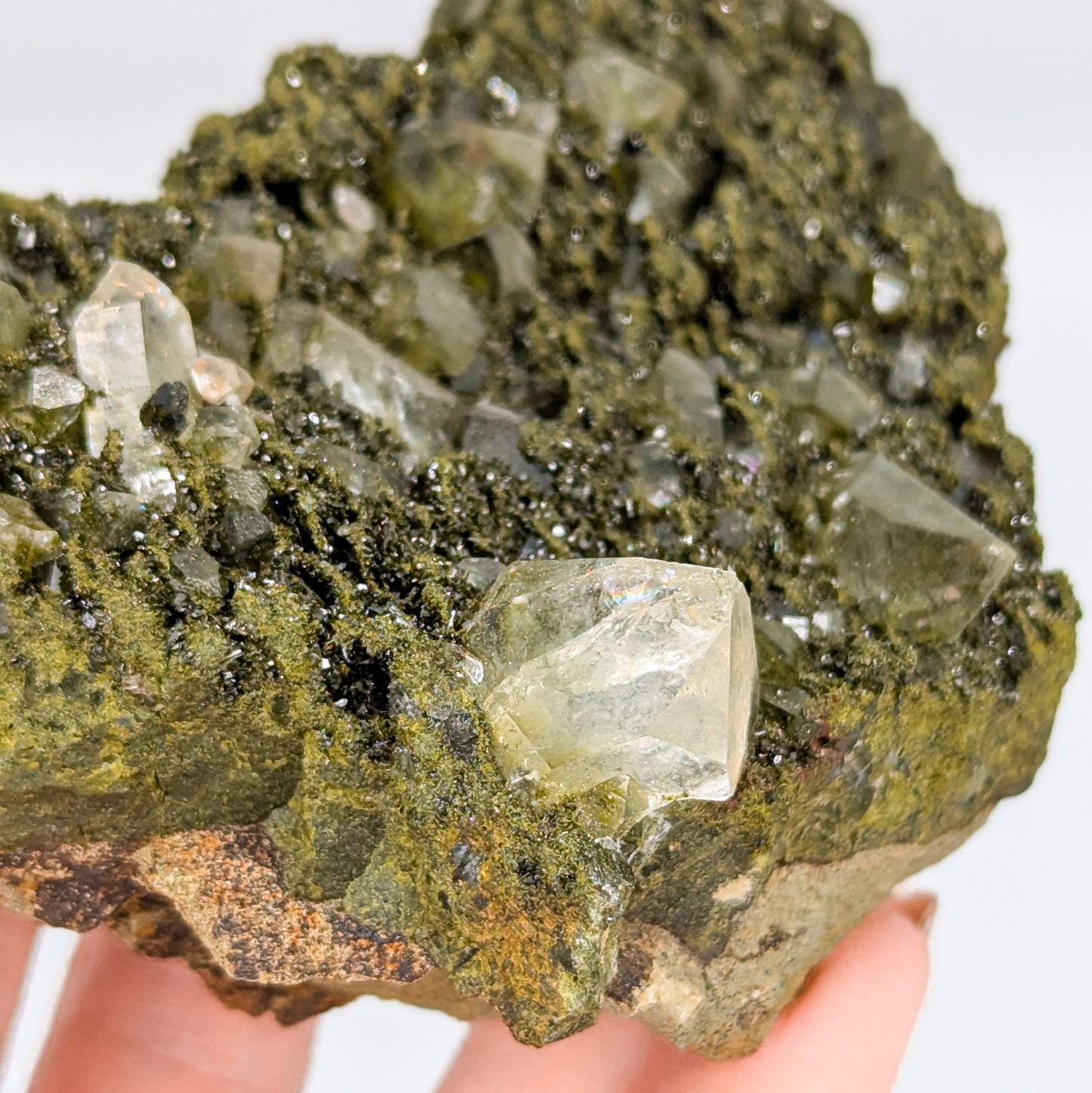 Forest Quartz with Epidote I