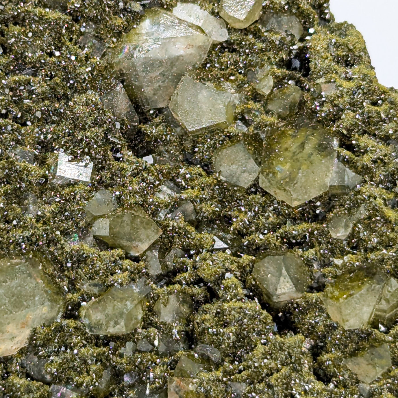 Forest Quartz with Epidote I