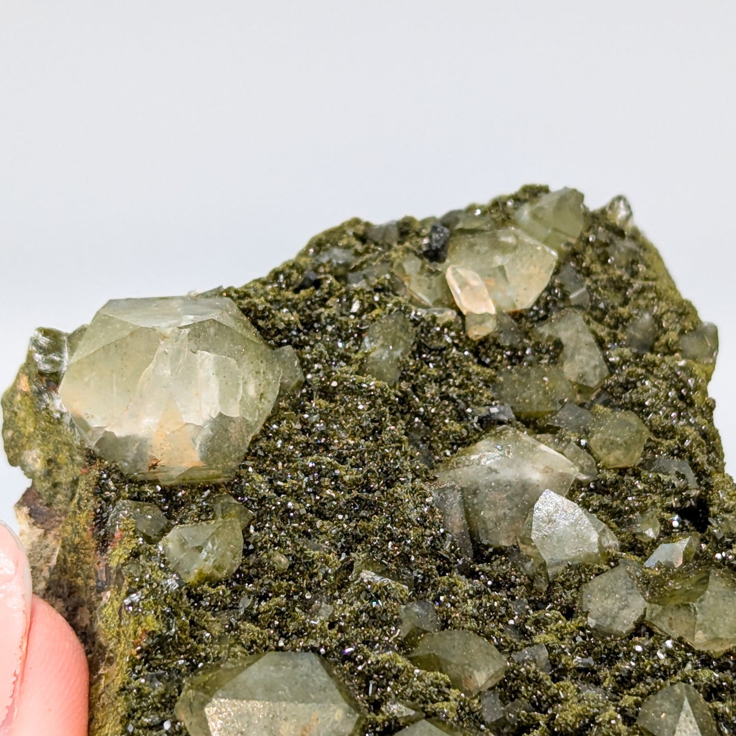 Forest Quartz with Epidote I