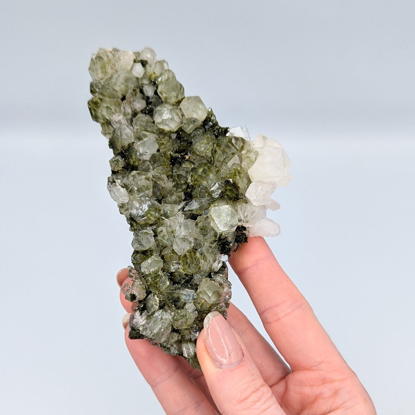 Forest Quartz with Epidote K