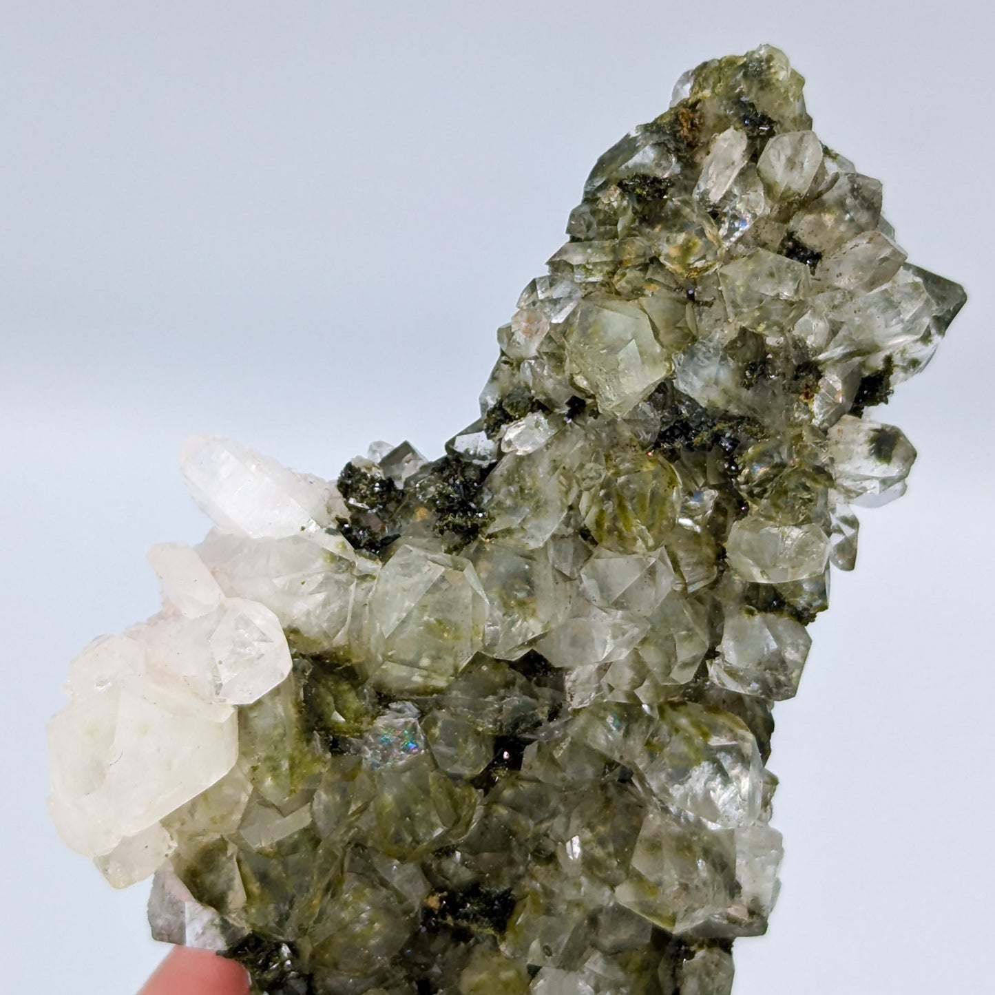 Forest Quartz with Epidote K
