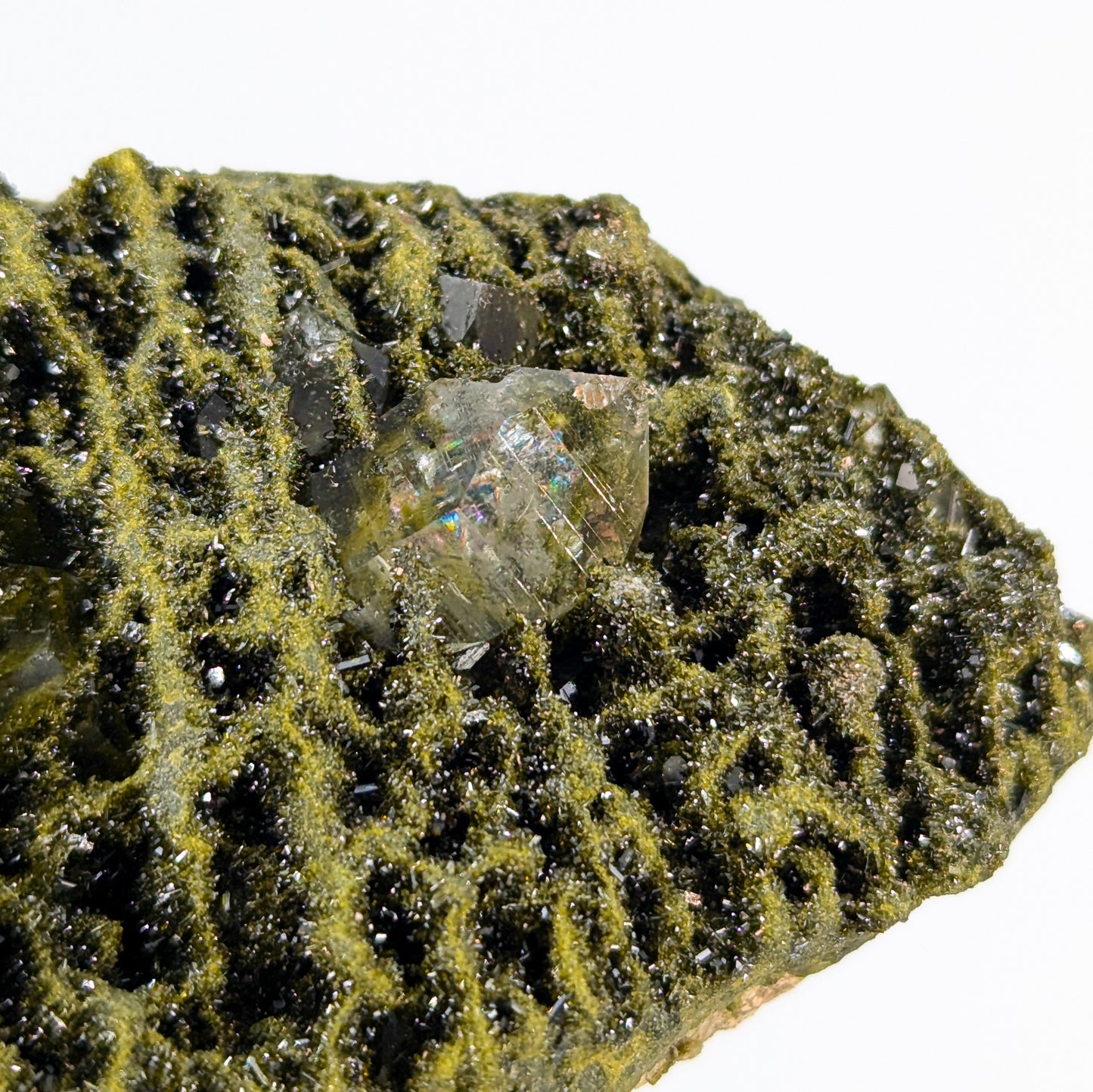 Forest Quartz with Epidote M