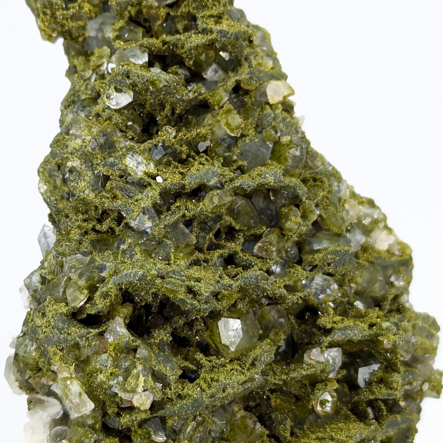 Forest Quartz with Epidote O