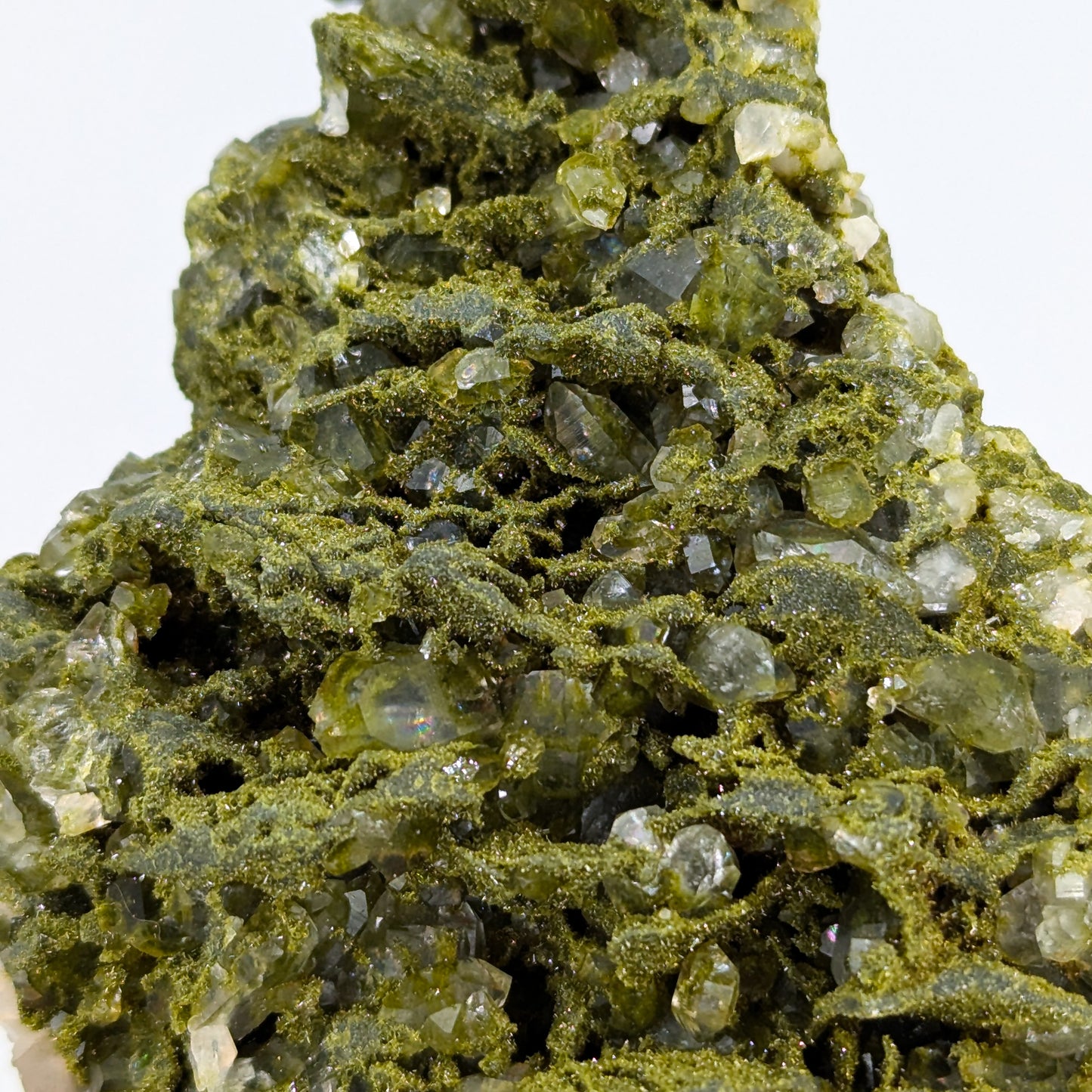 Forest Quartz with Epidote O