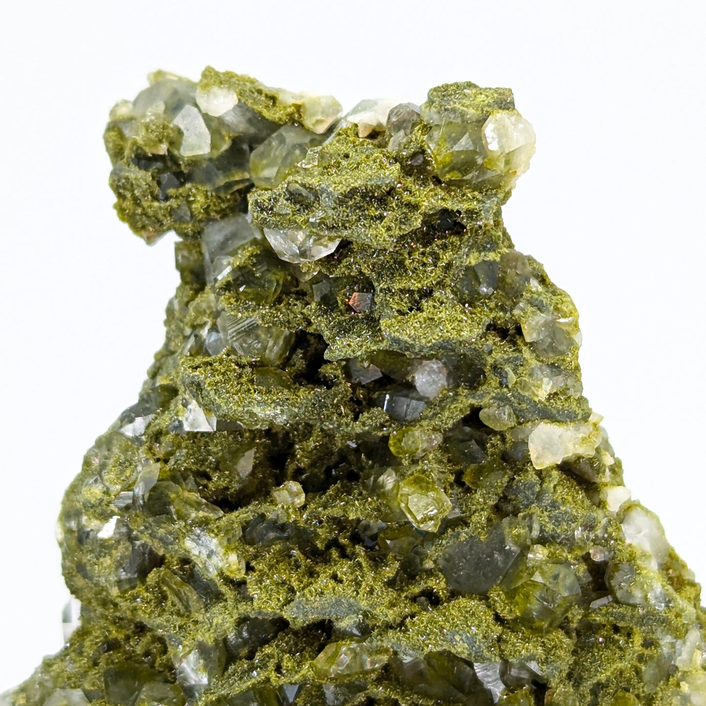 Forest Quartz with Epidote O