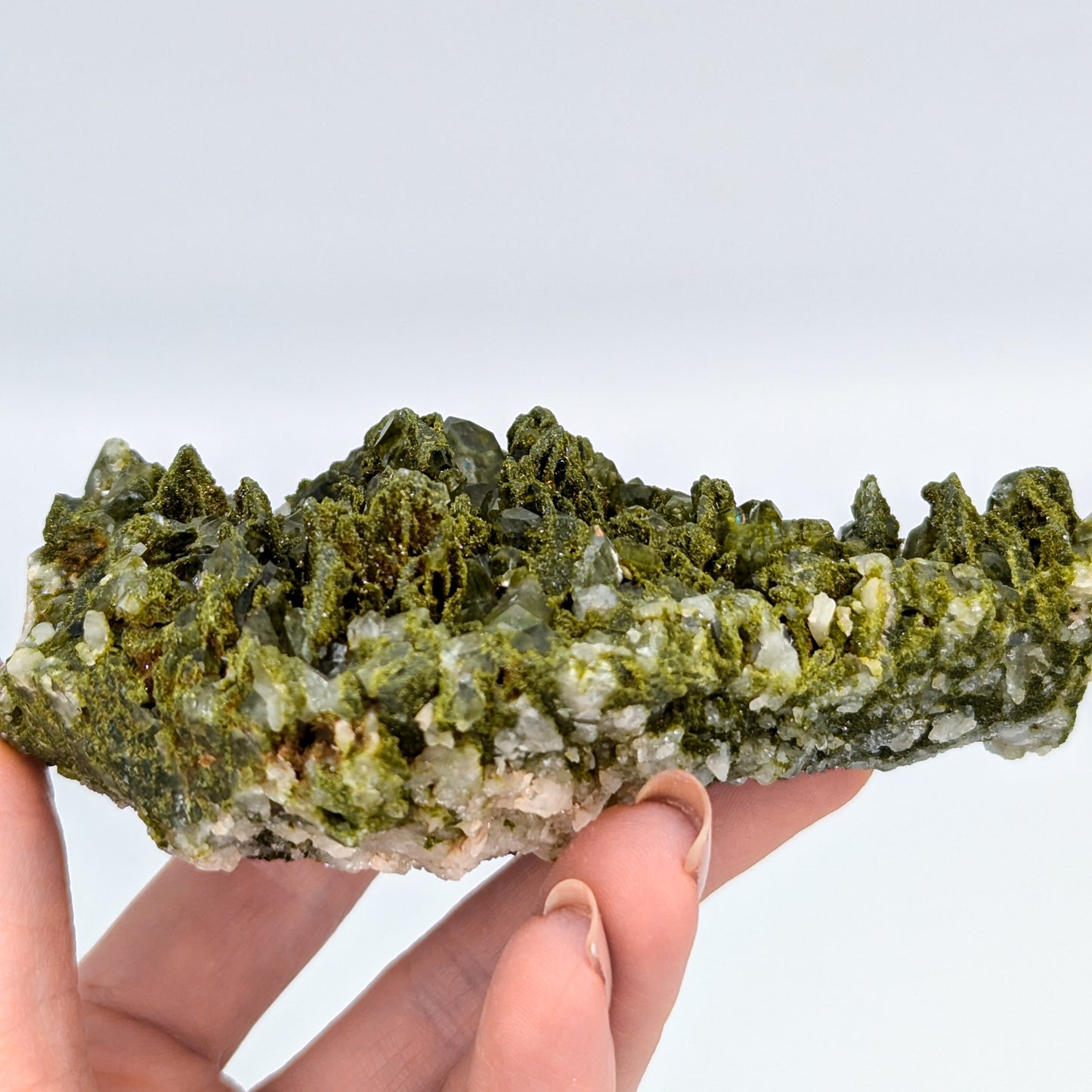 Forest Quartz with Epidote O