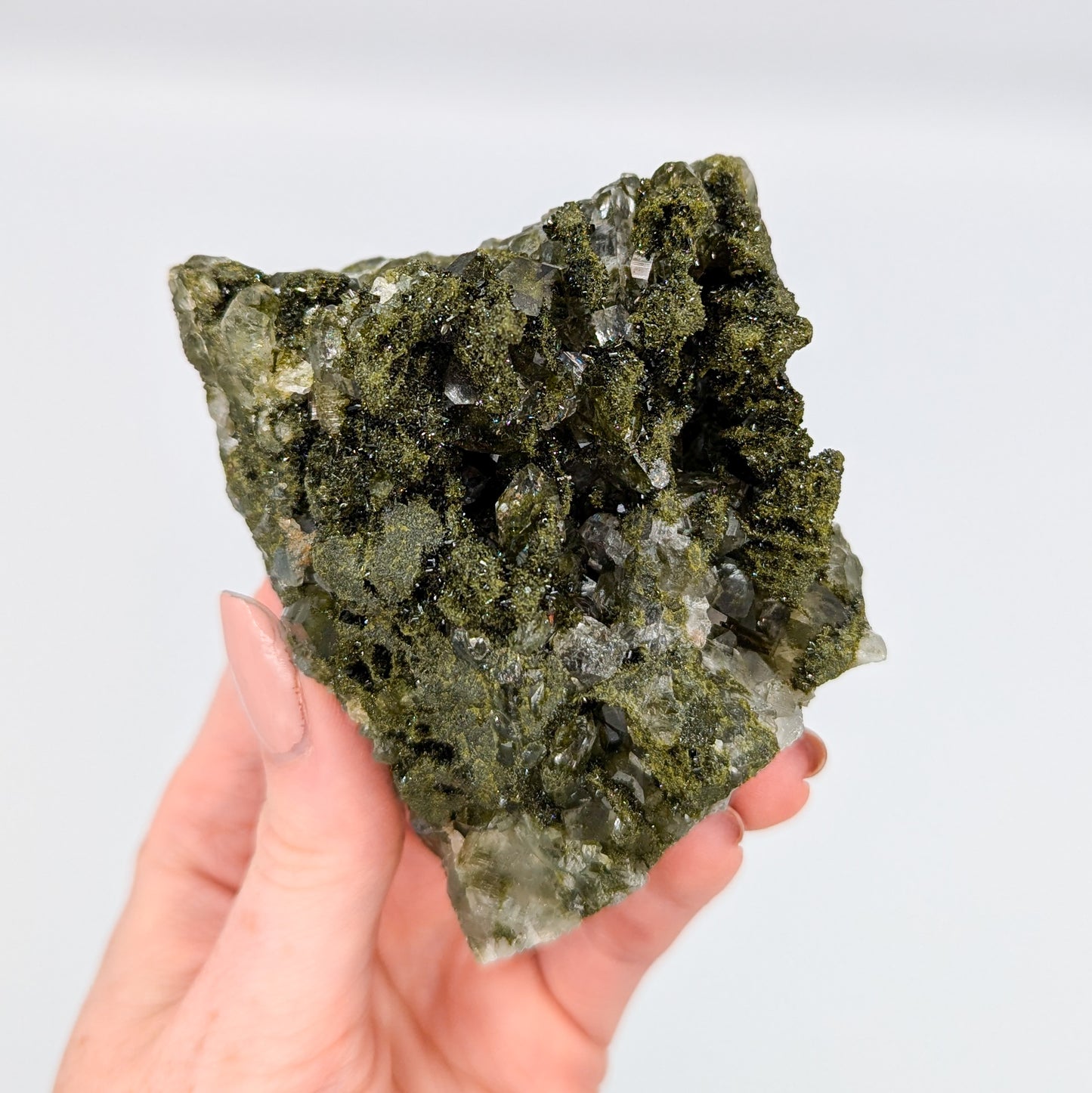 Forest Quartz with Epidote P