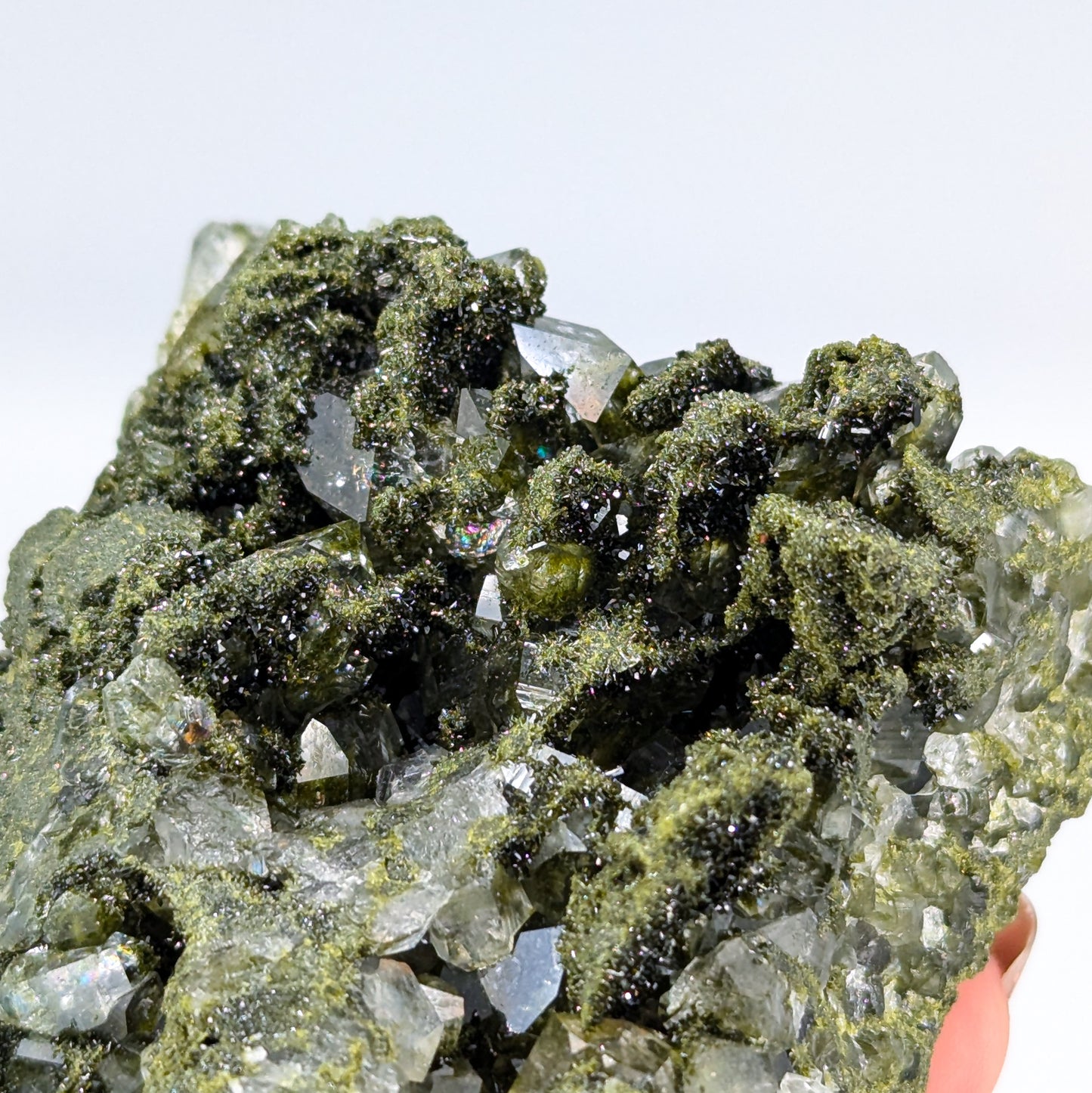 Forest Quartz with Epidote P