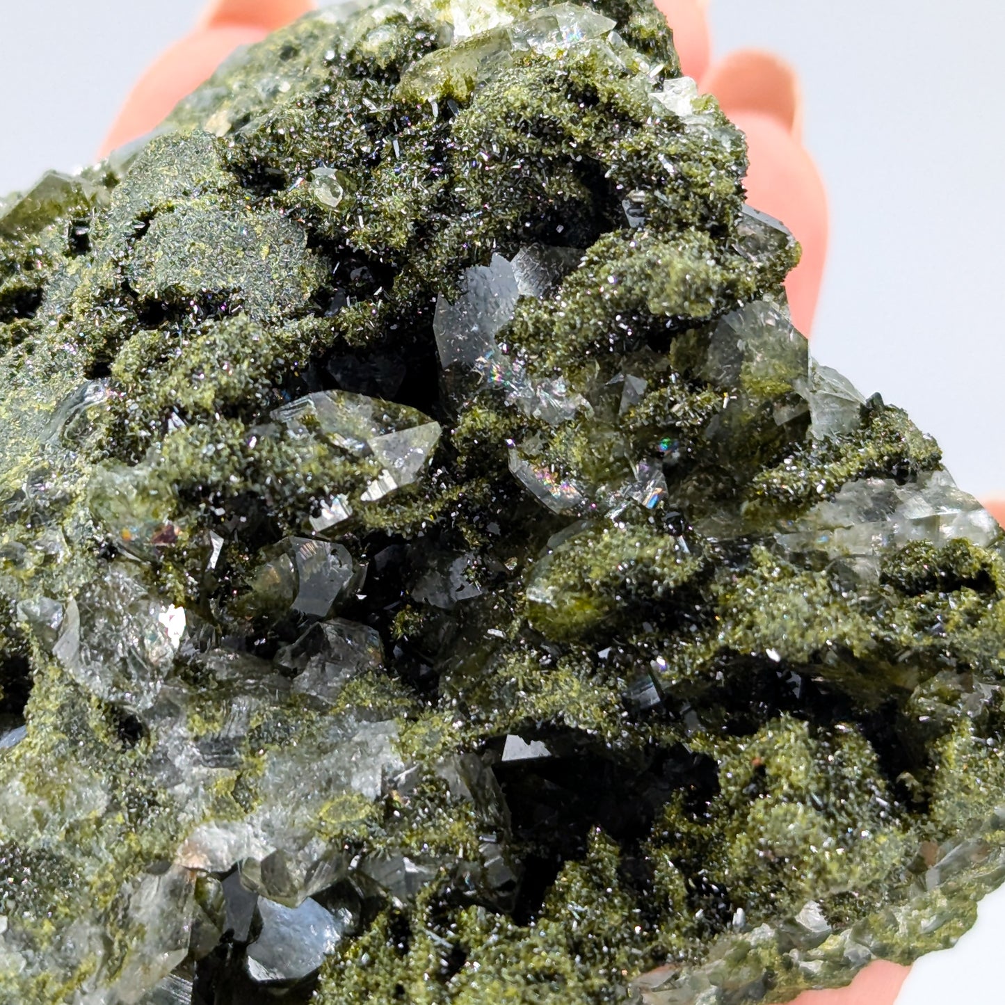 Forest Quartz with Epidote P