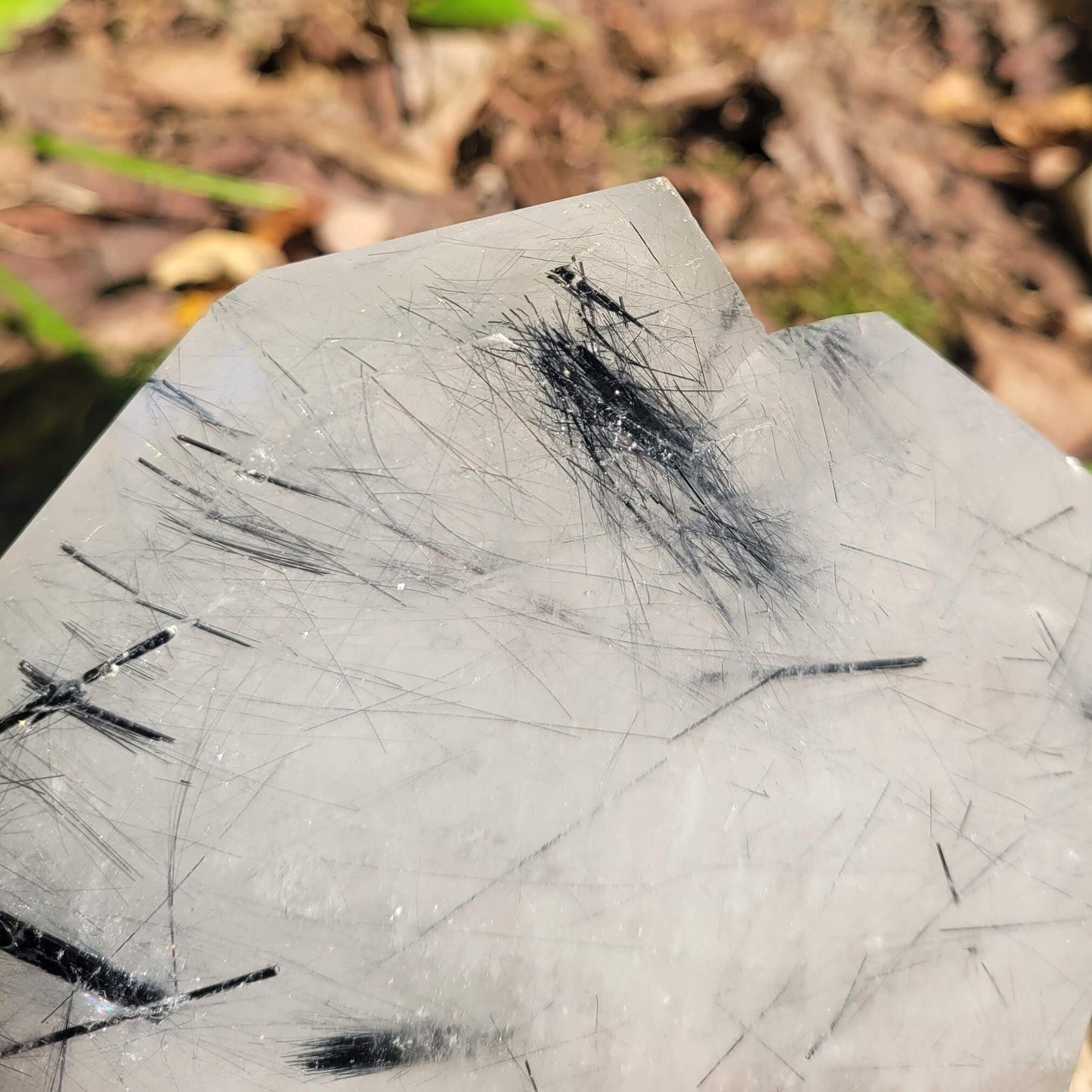 Black Tourmaline Rutilated Quartz Slab