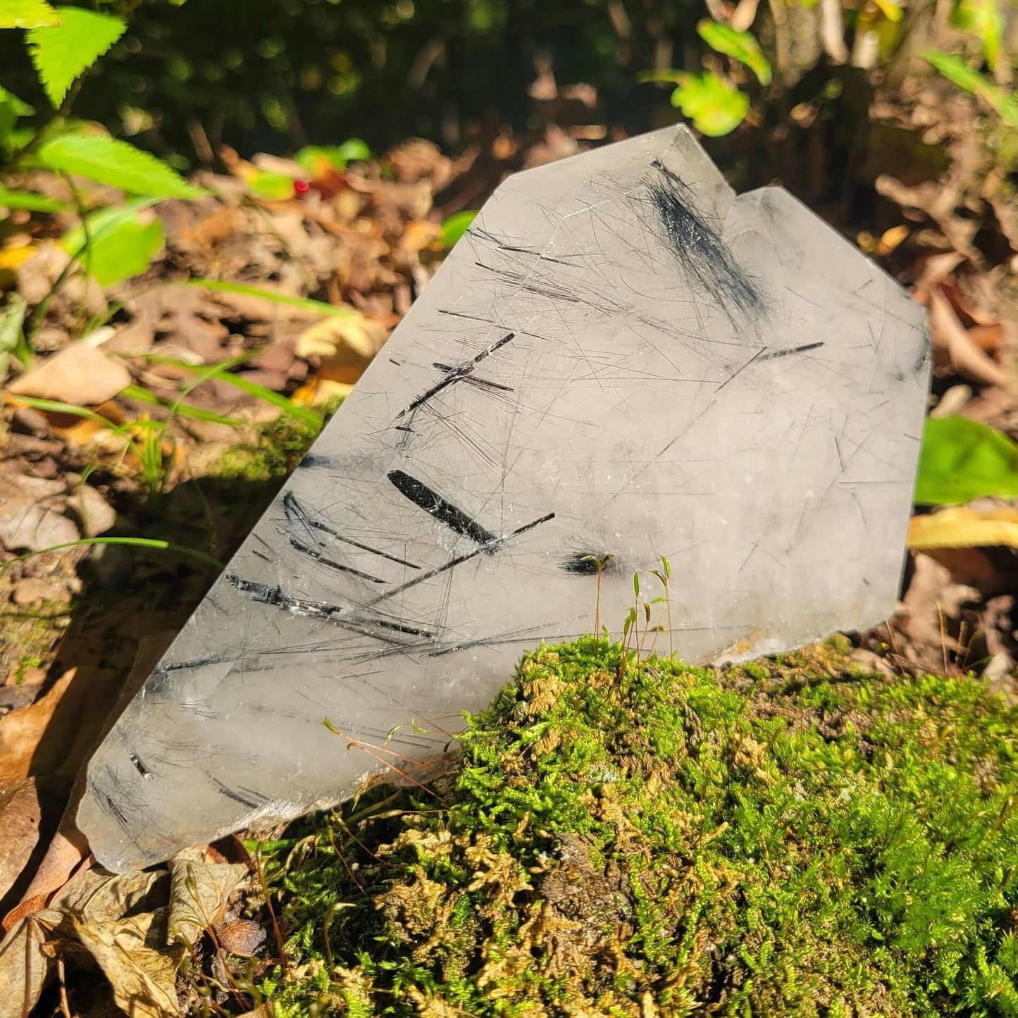 Black Tourmaline Rutilated Quartz Slab