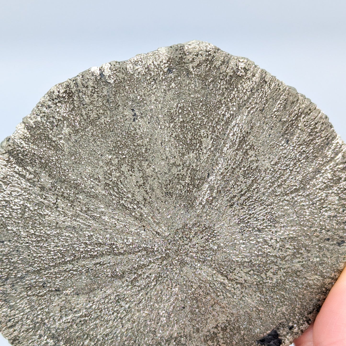 Pyrite Sun L