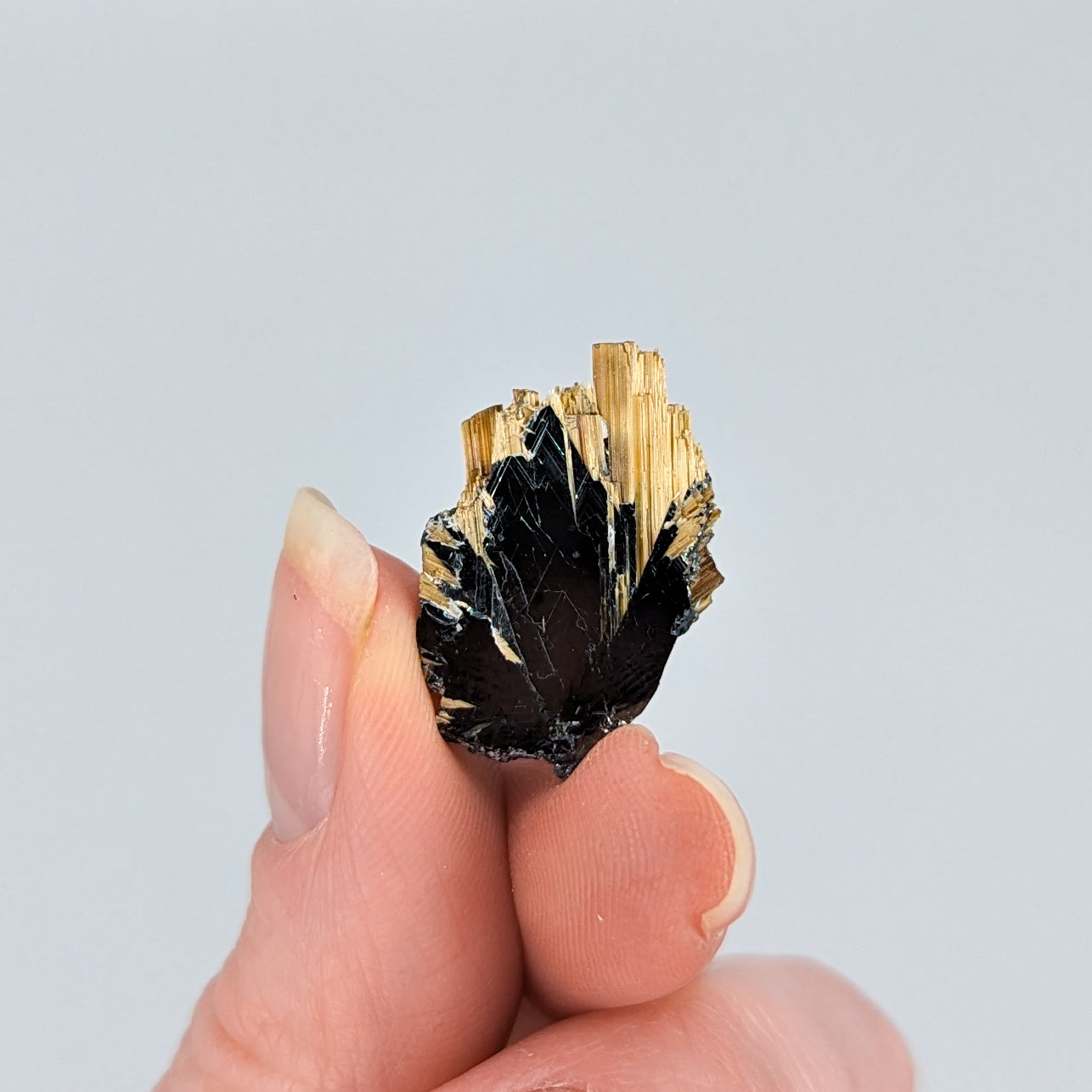 Golden Rutile on Hematite F