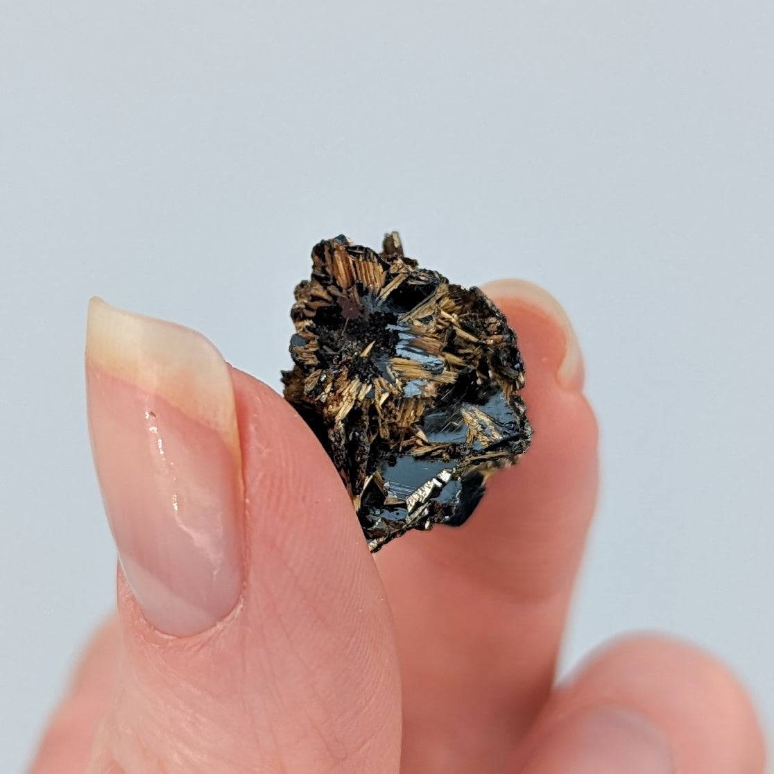 Golden Rutile on Hematite E