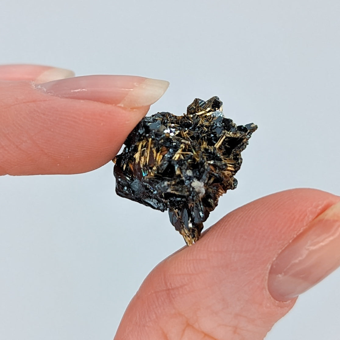 Golden Rutile on Hematite E