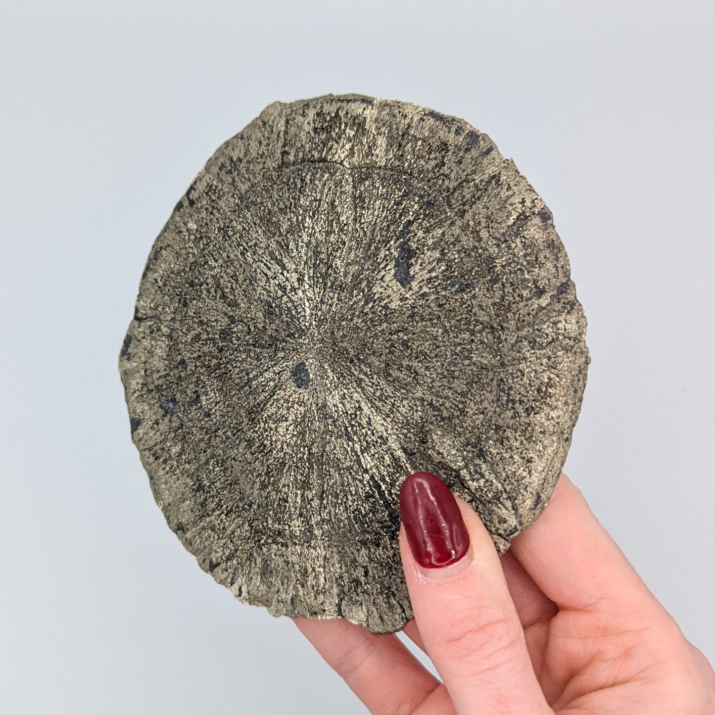 Pyrite Sun O