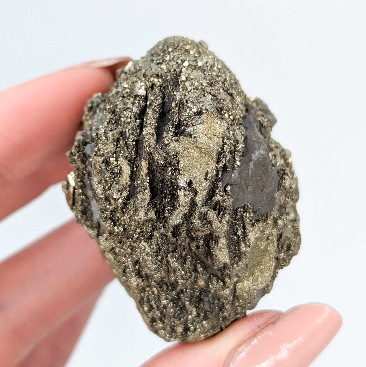 Pyrite Nodule B