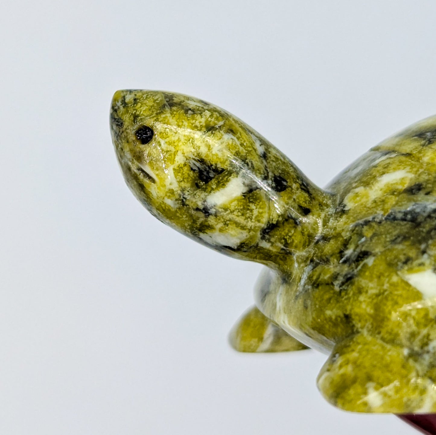 Serpentine Turtle Carving