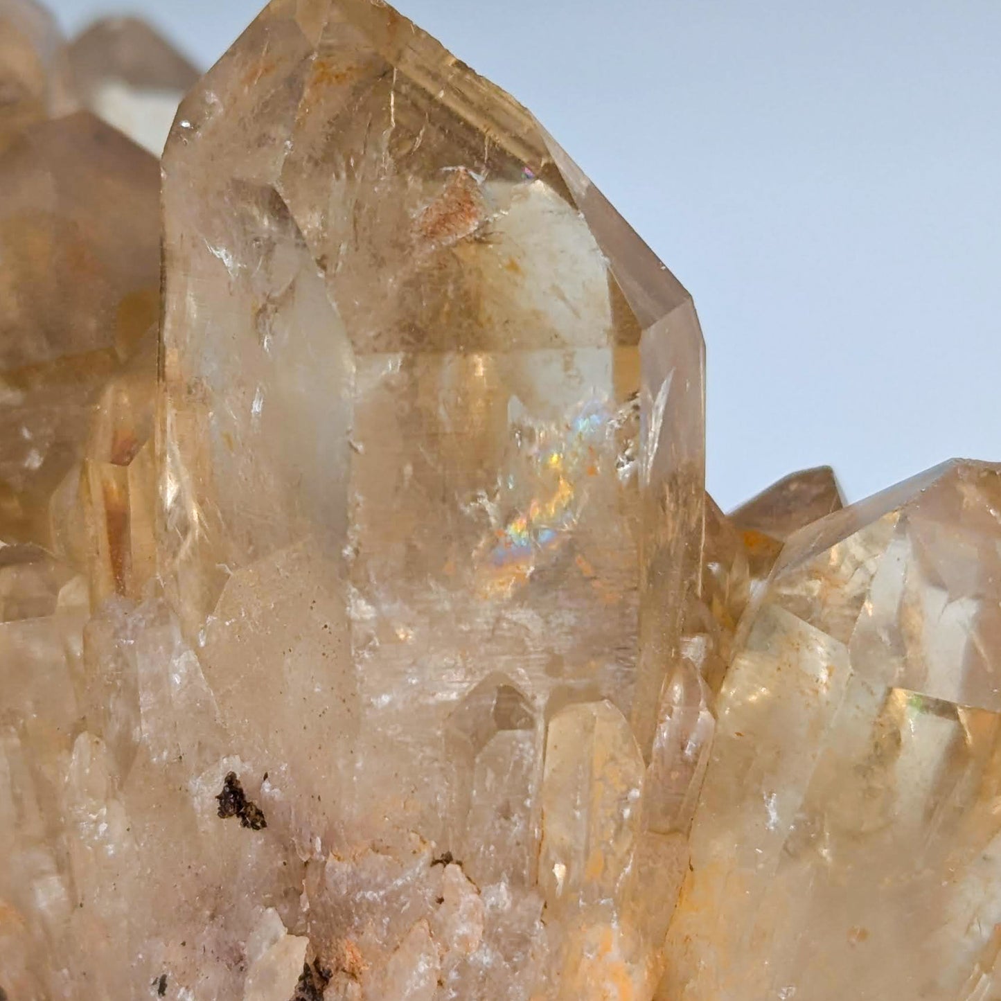 Kundalini Citrine F