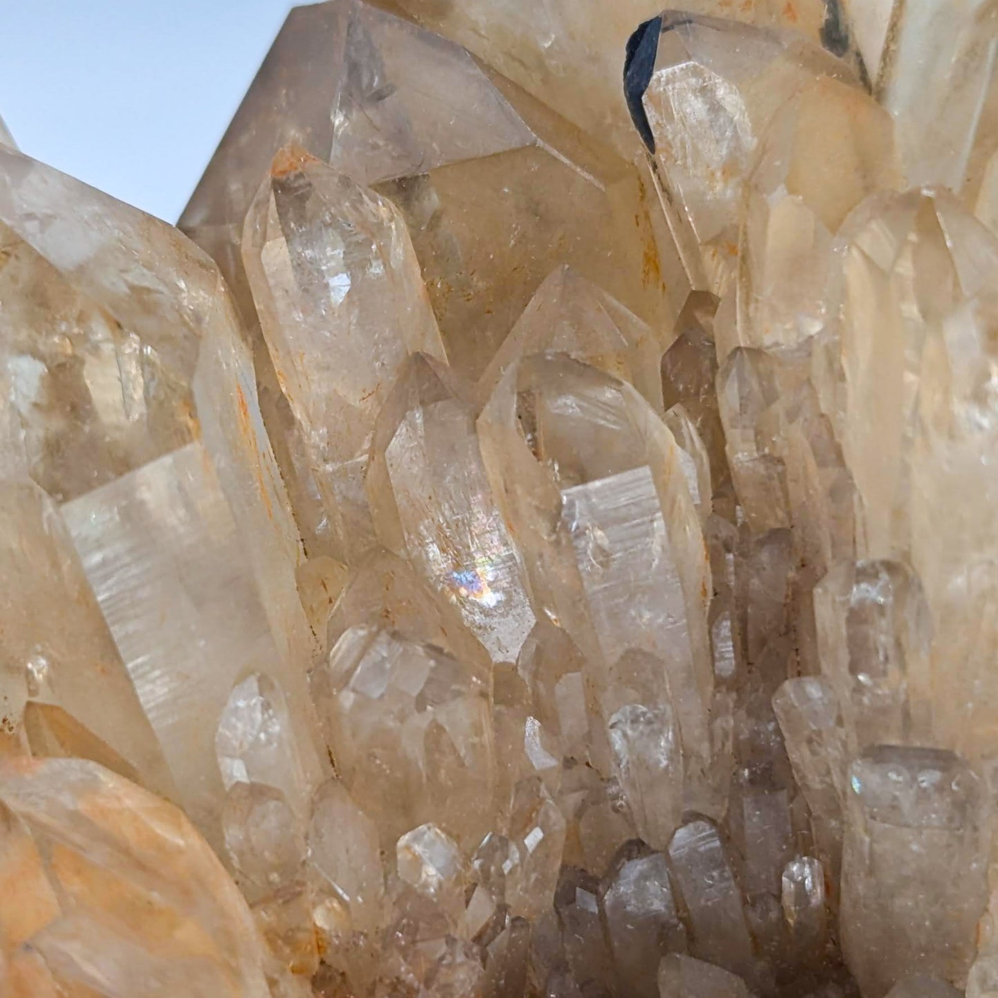 Kundalini Citrine F