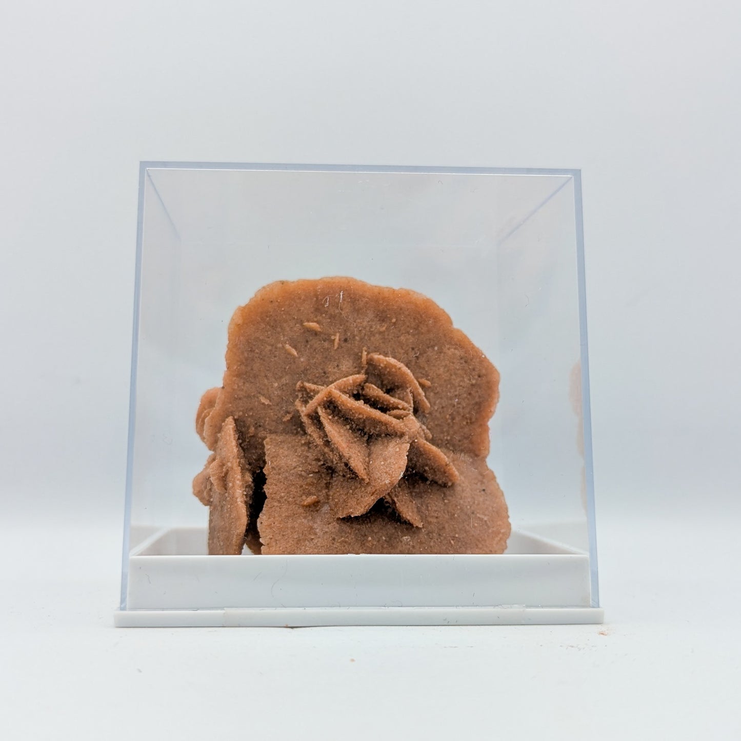 Baryte Desert Rose C