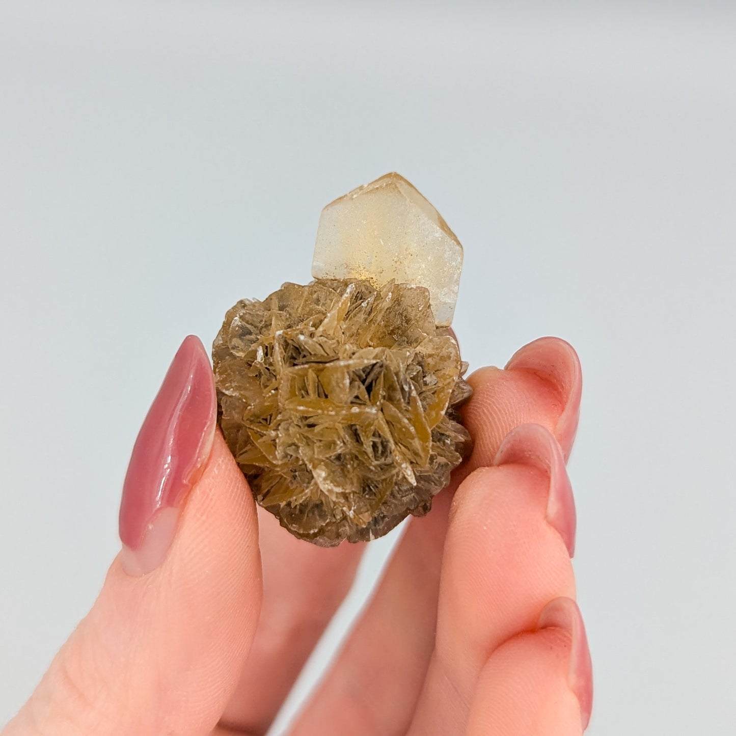 Gypsum Selenite Fluorescent F