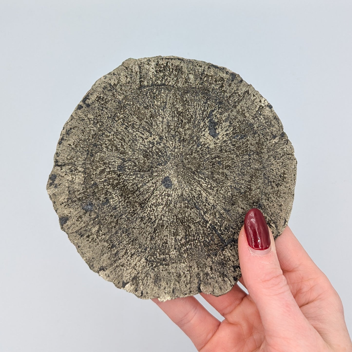 Pyrite Sun O