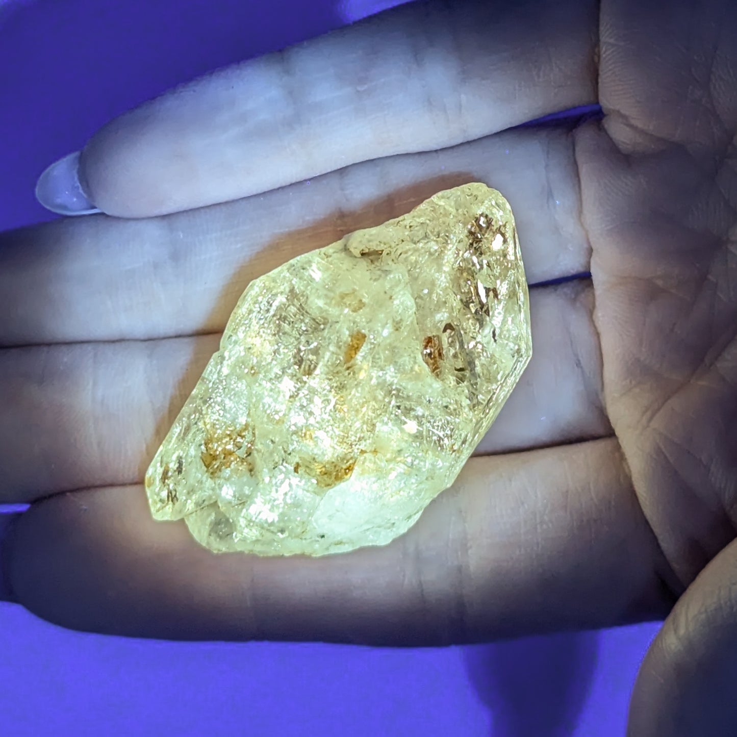 Firefly Petroleum Quartz F