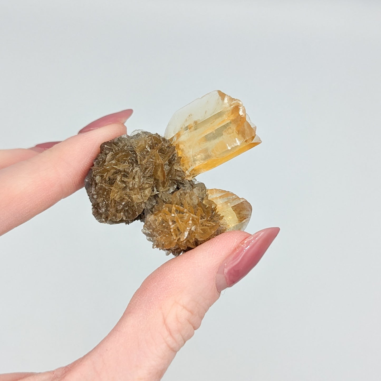 Gypsum Selenite Fluorescent E