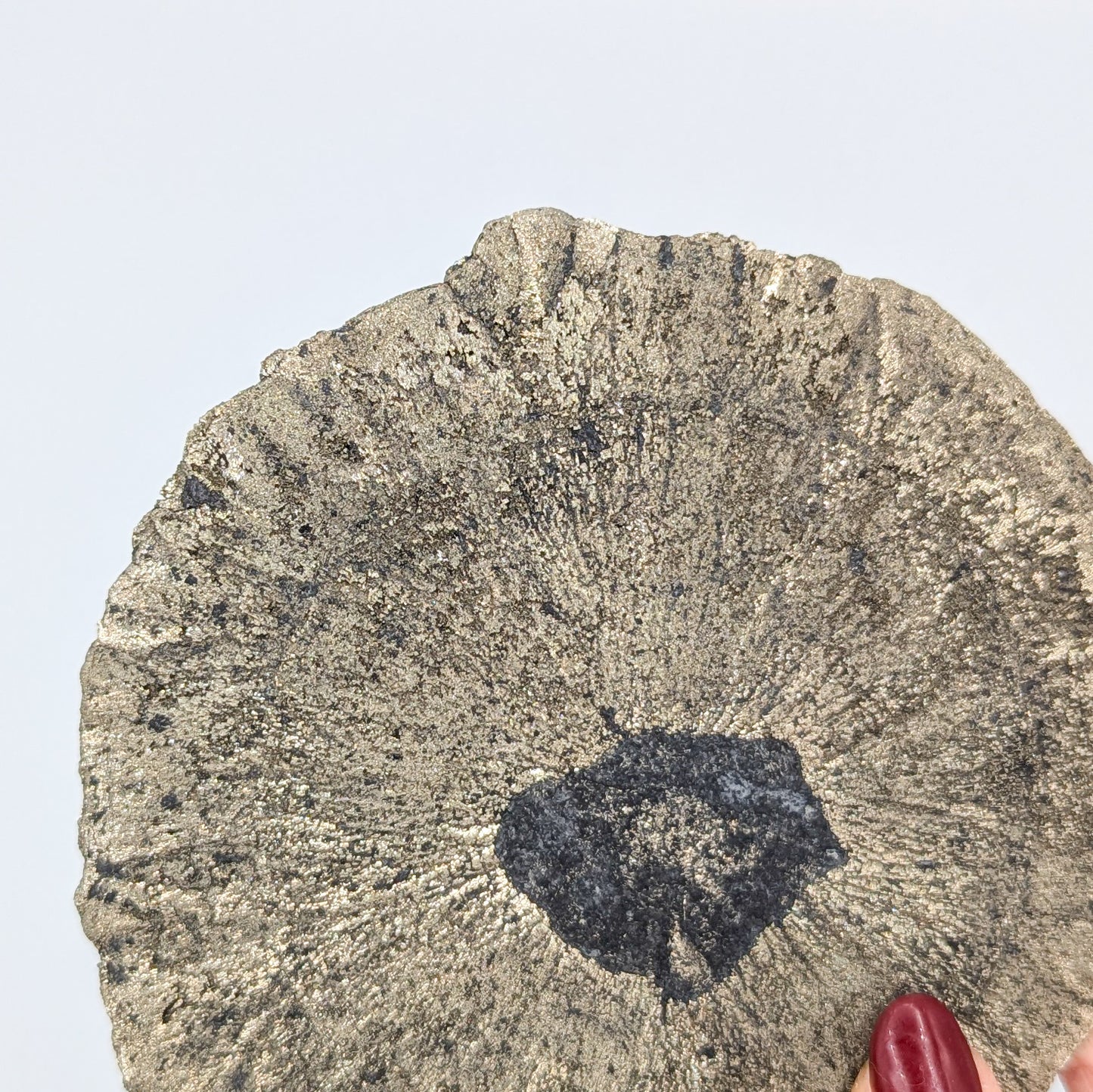 Pyrite Sun O