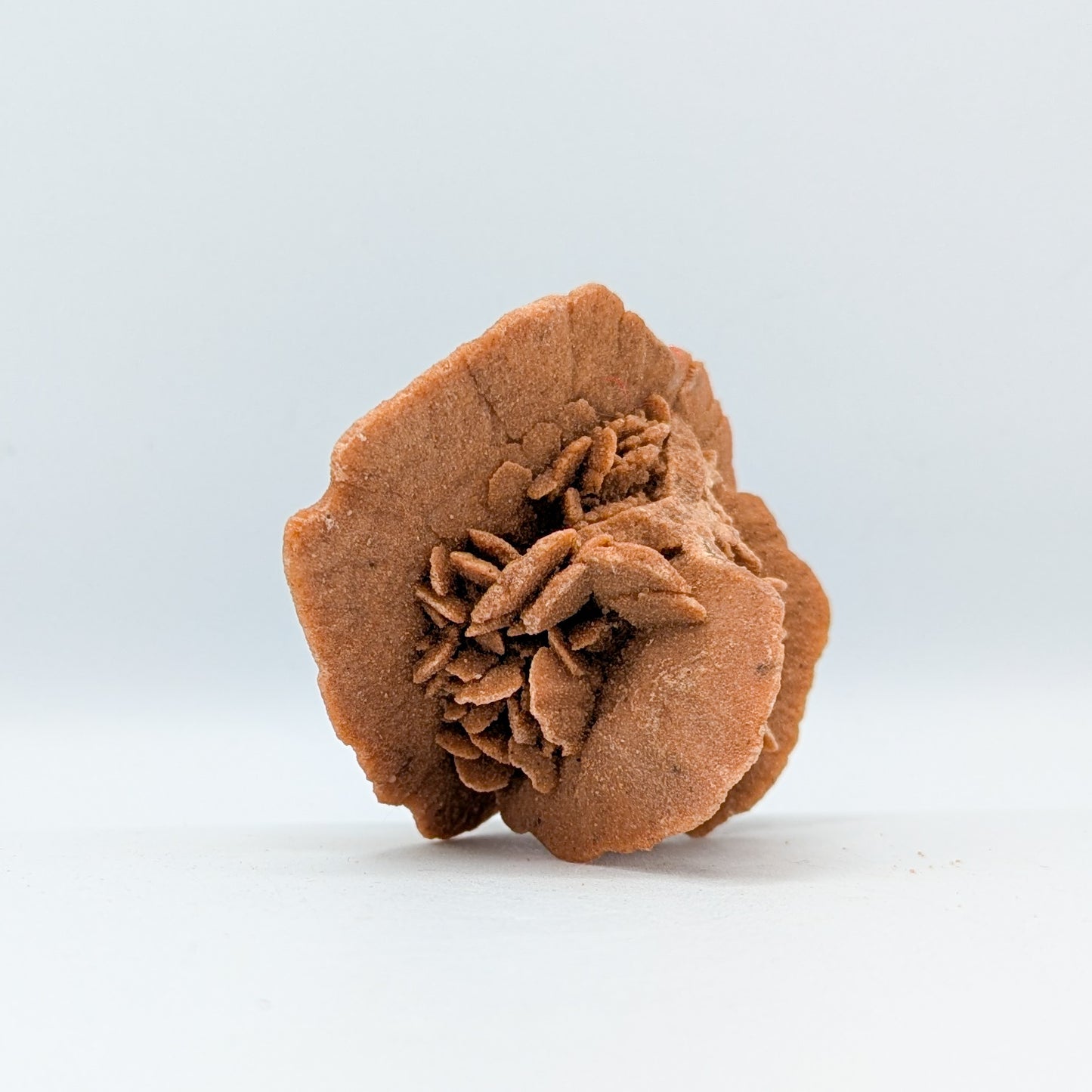 Baryte Desert Rose B
