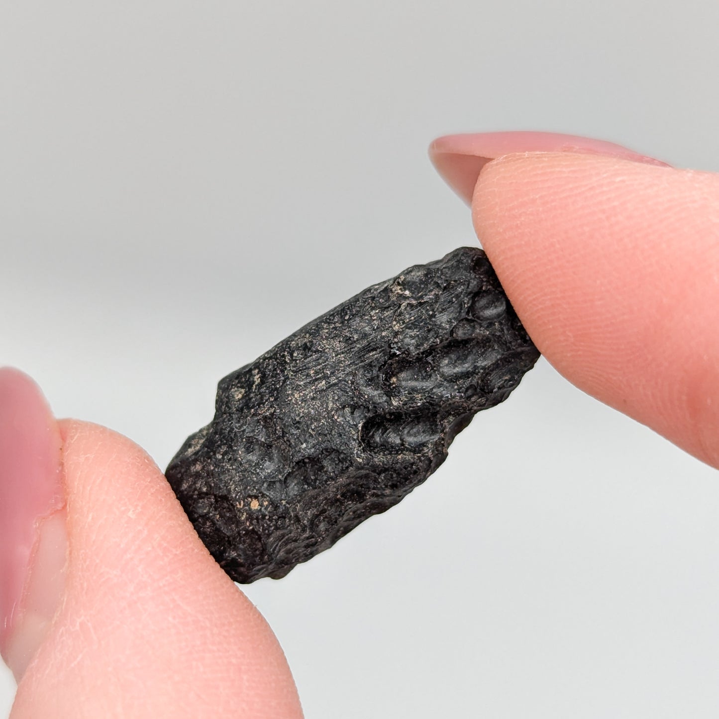 Tektite (Indochinite)