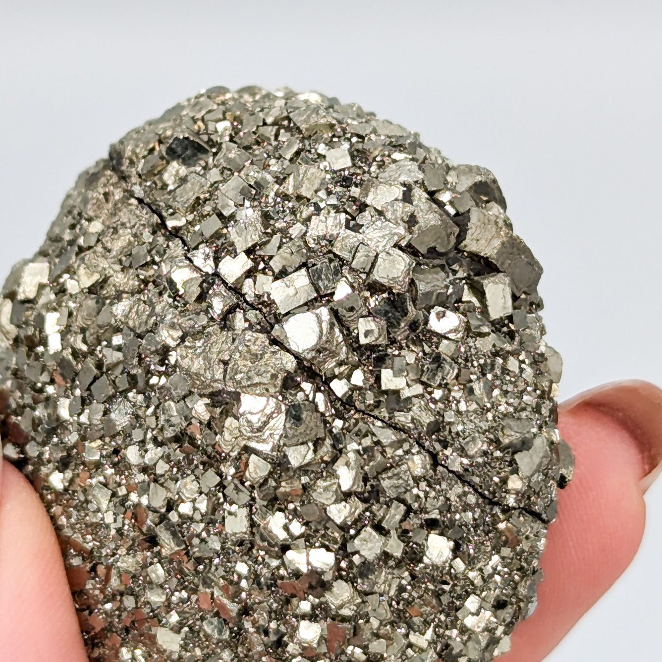 Pyrite Nodule H