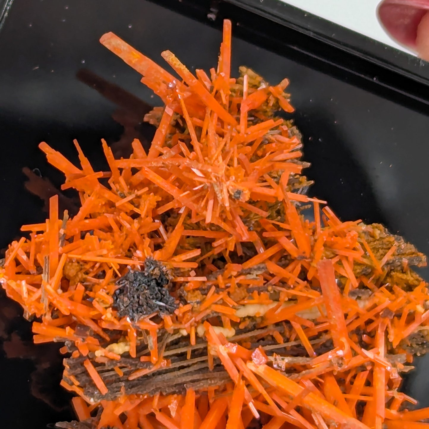 Crocoite Specimen C