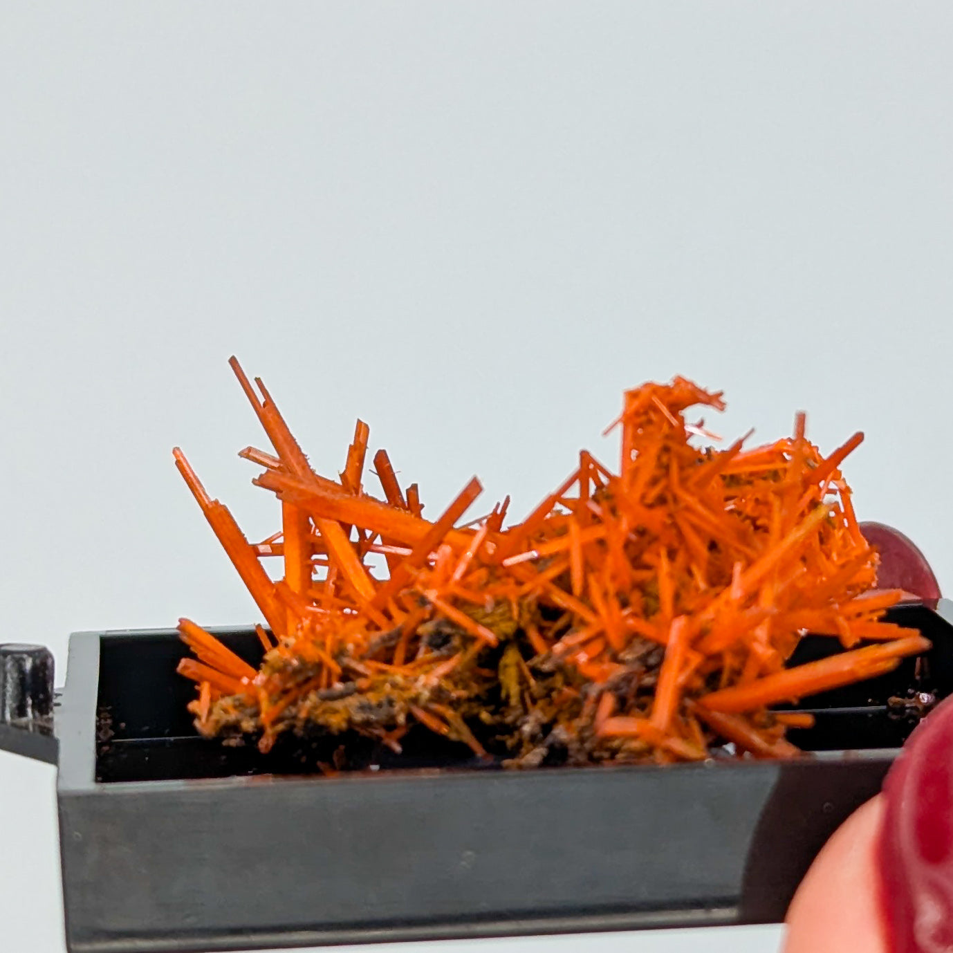Crocoite Specimen C