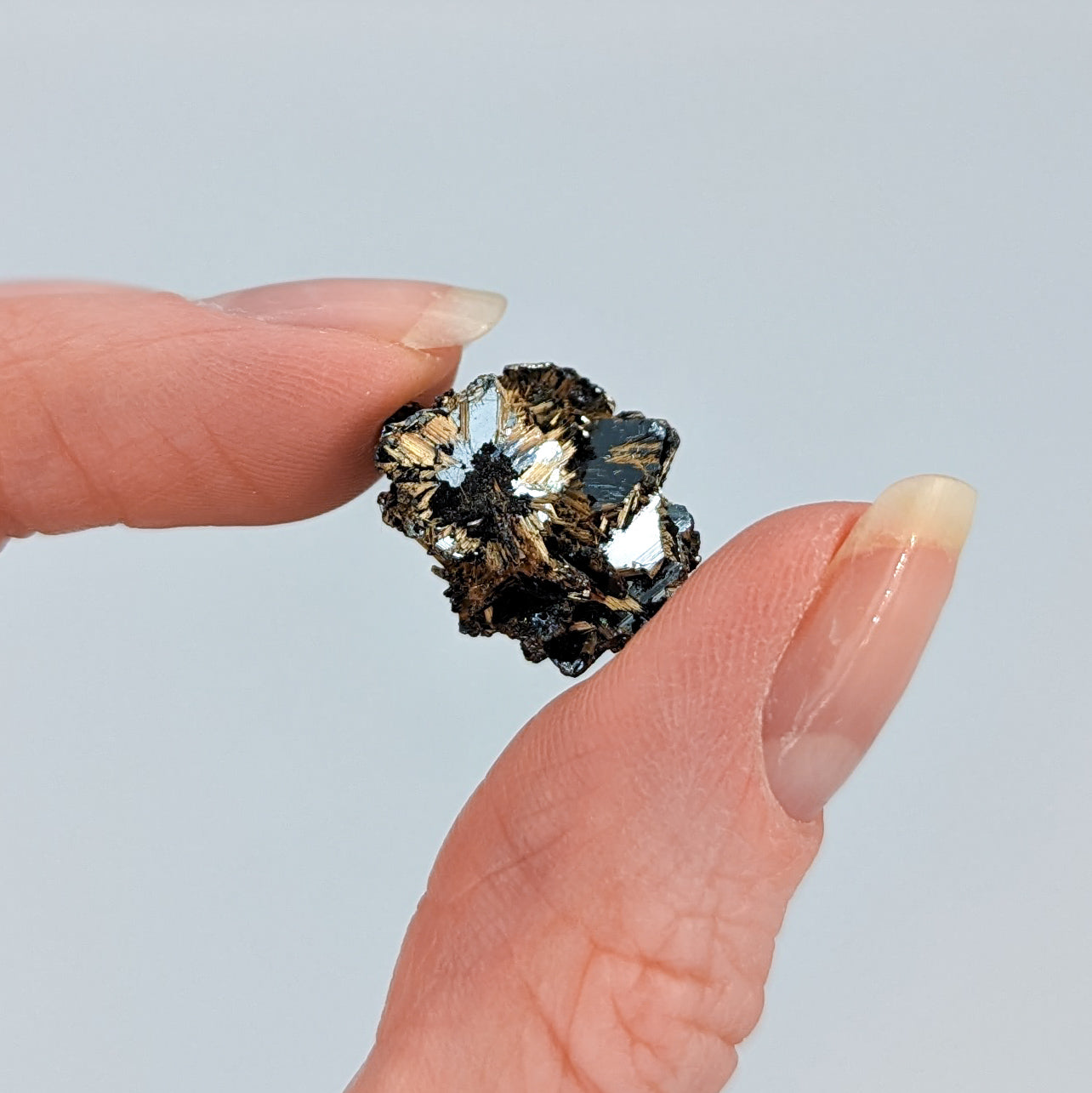 Golden Rutile on Hematite E
