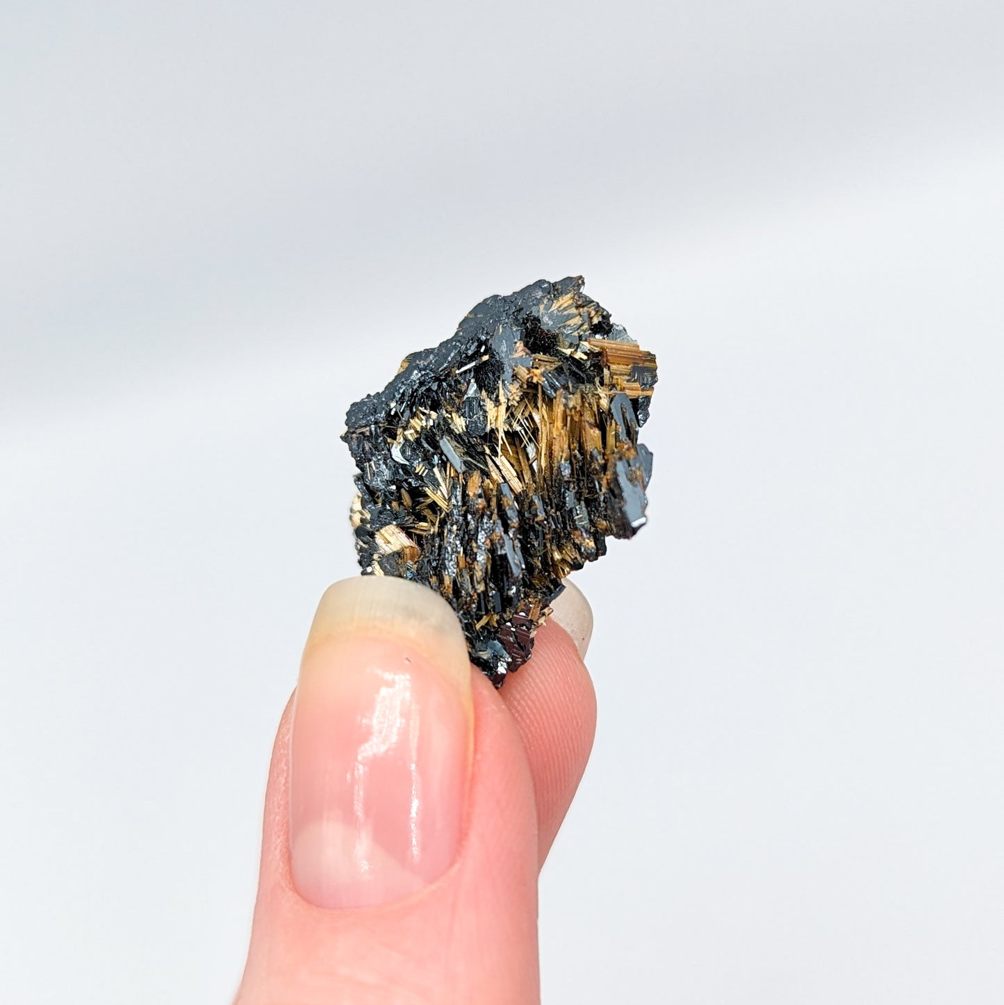 Golden Rutile on Hematite B