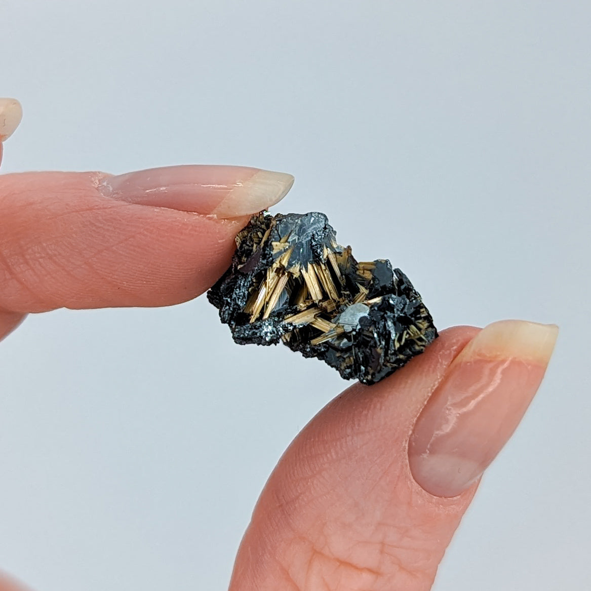 Golden Rutile on Hematite C
