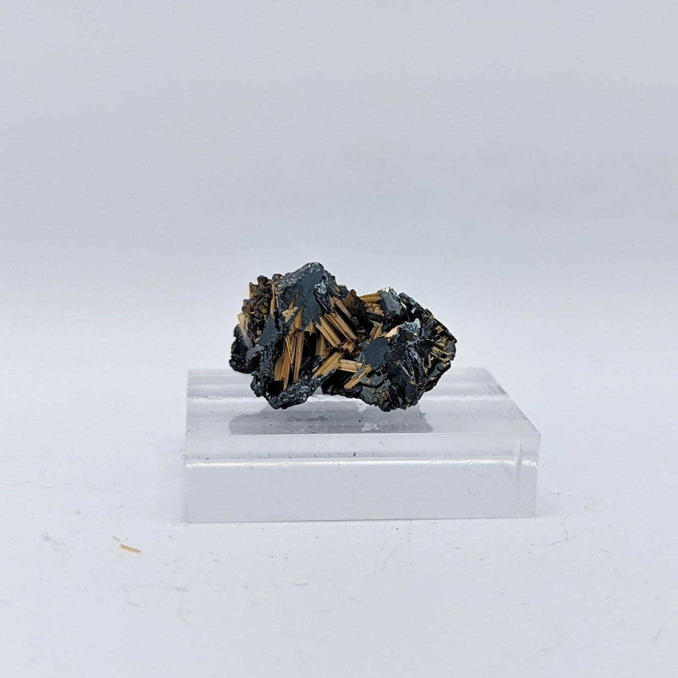 Golden Rutile on Hematite C