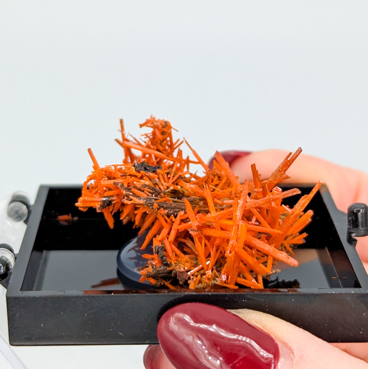 Crocoite Specimen C